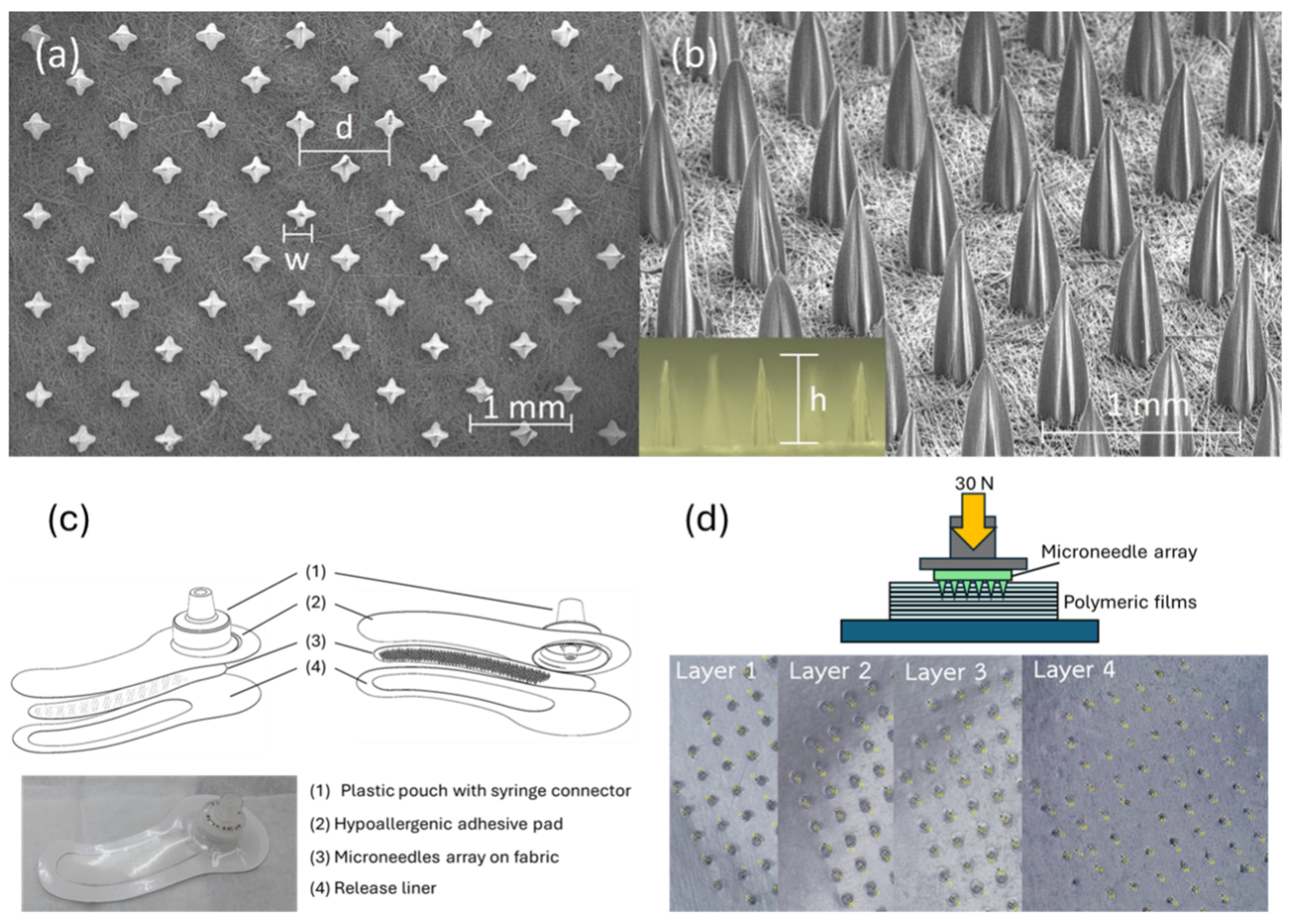 Cosmetics 11 00100 g001