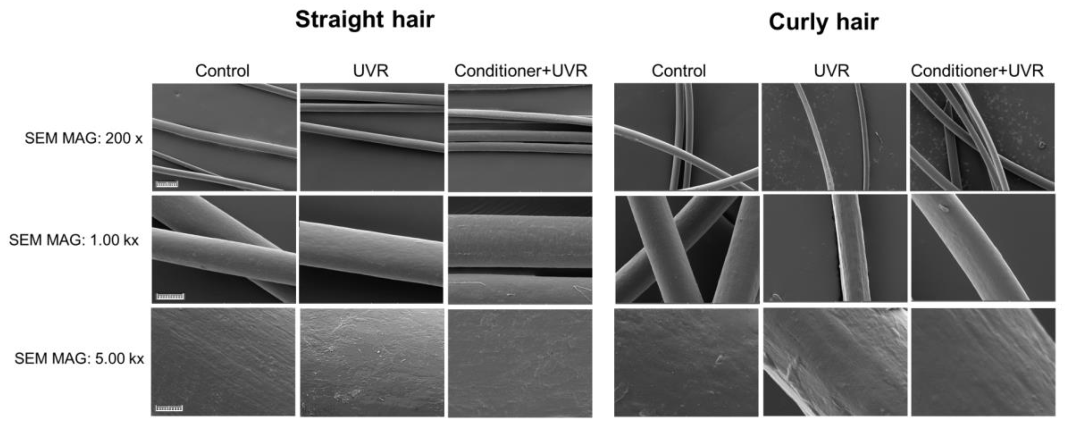 Cosmetics 11 00102 g007