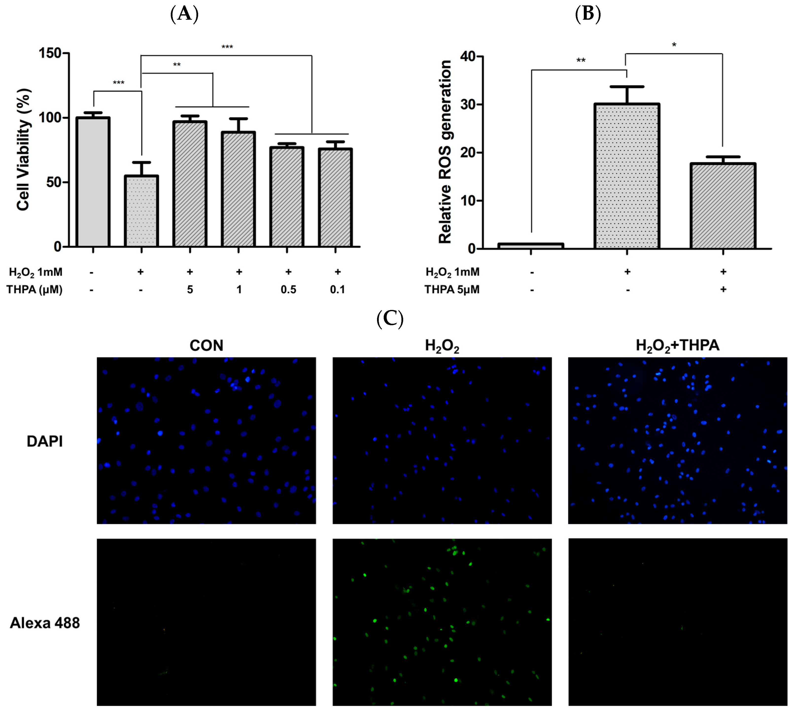 Cosmetics 11 00105 g004 Cosmetics 11 00105 g004