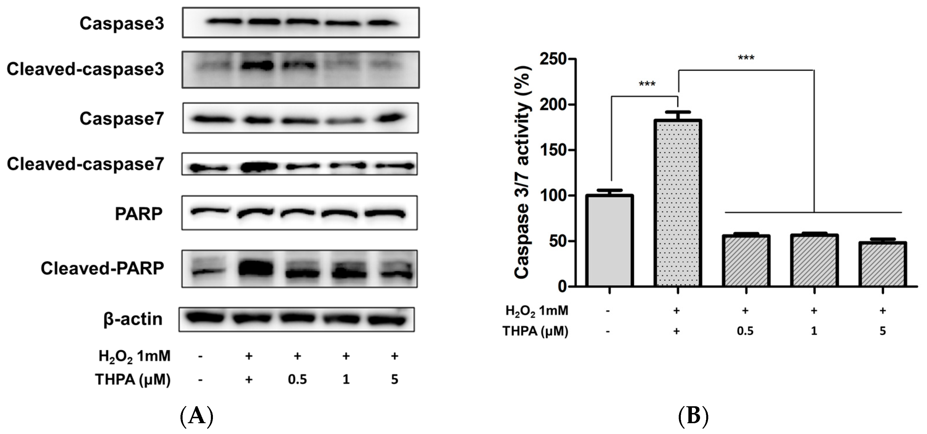 Cosmetics 11 00105 g005 Cosmetics 11 00105 g005