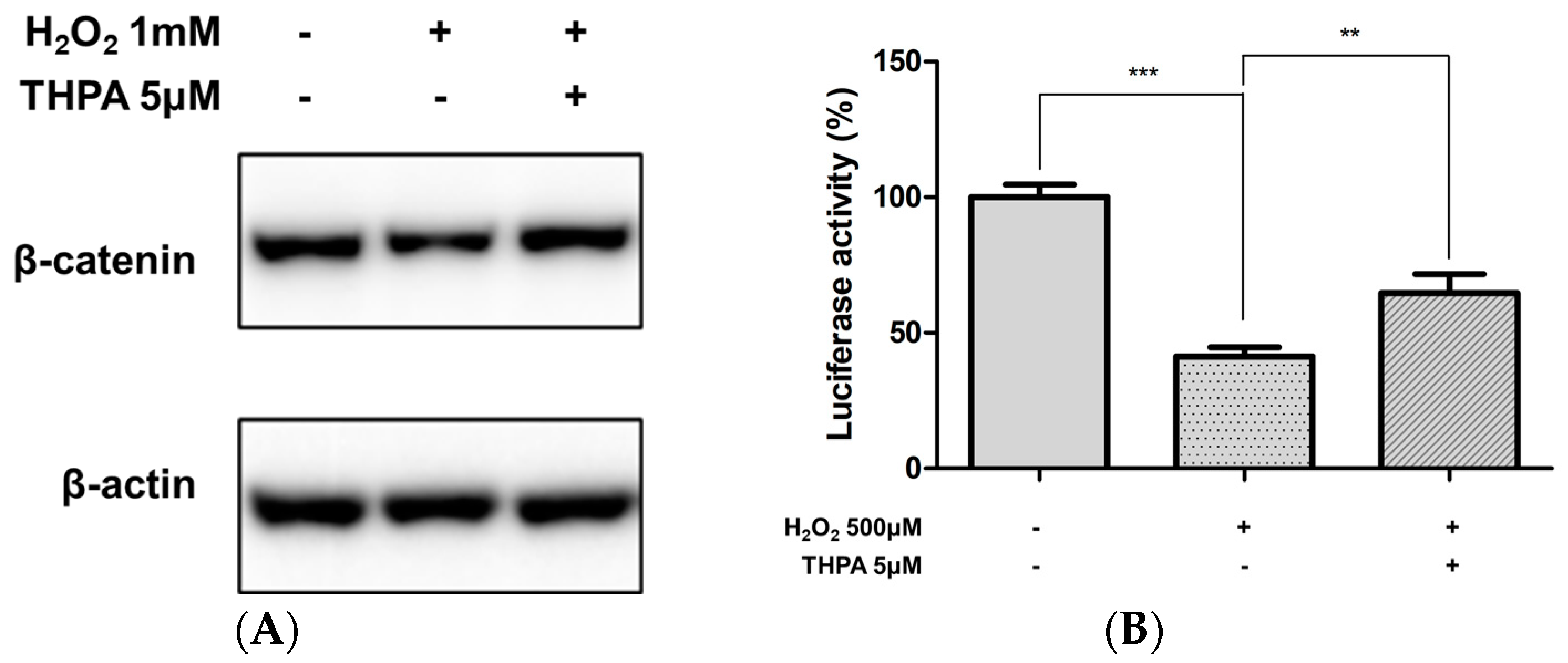 Cosmetics 11 00105 g006 Cosmetics 11 00105 g006