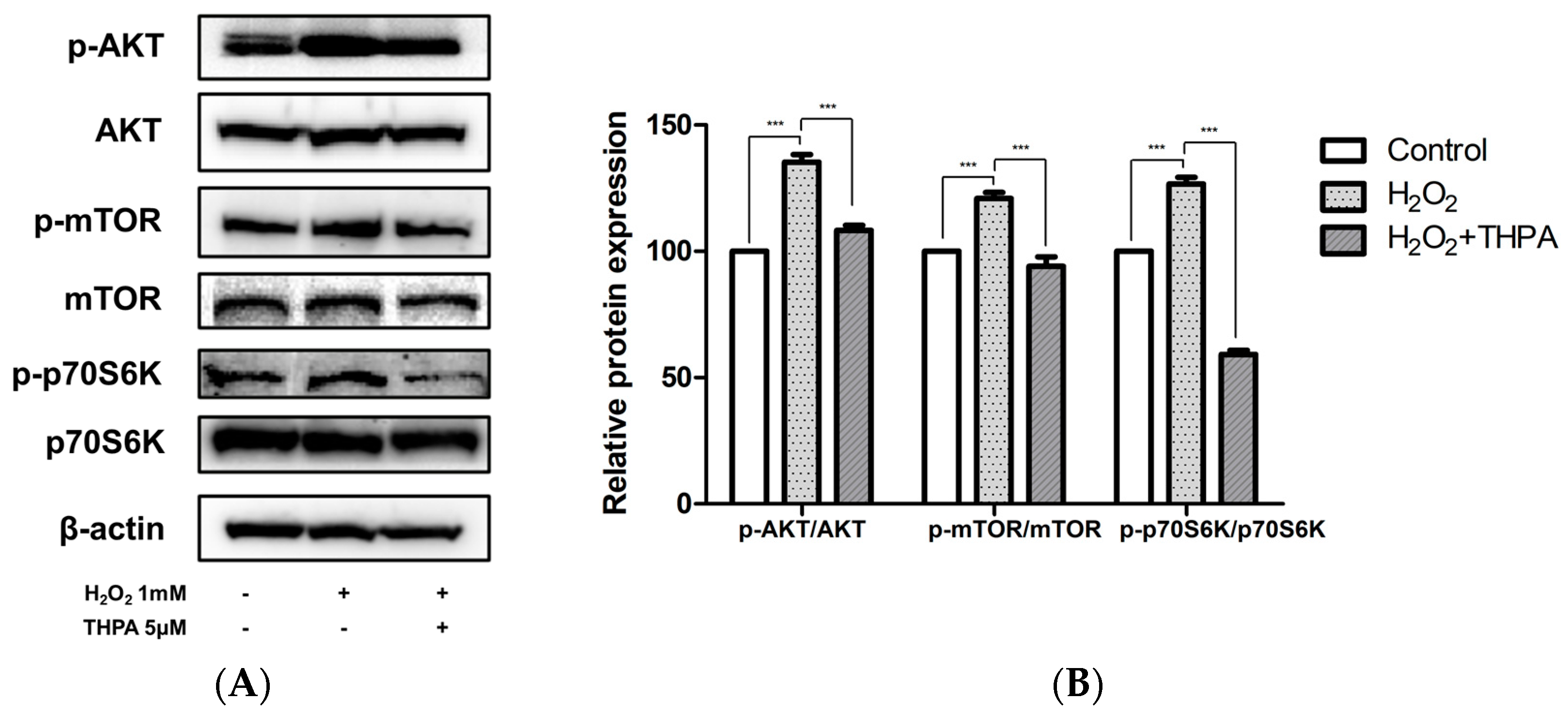Cosmetics 11 00105 g007 Cosmetics 11 00105 g007