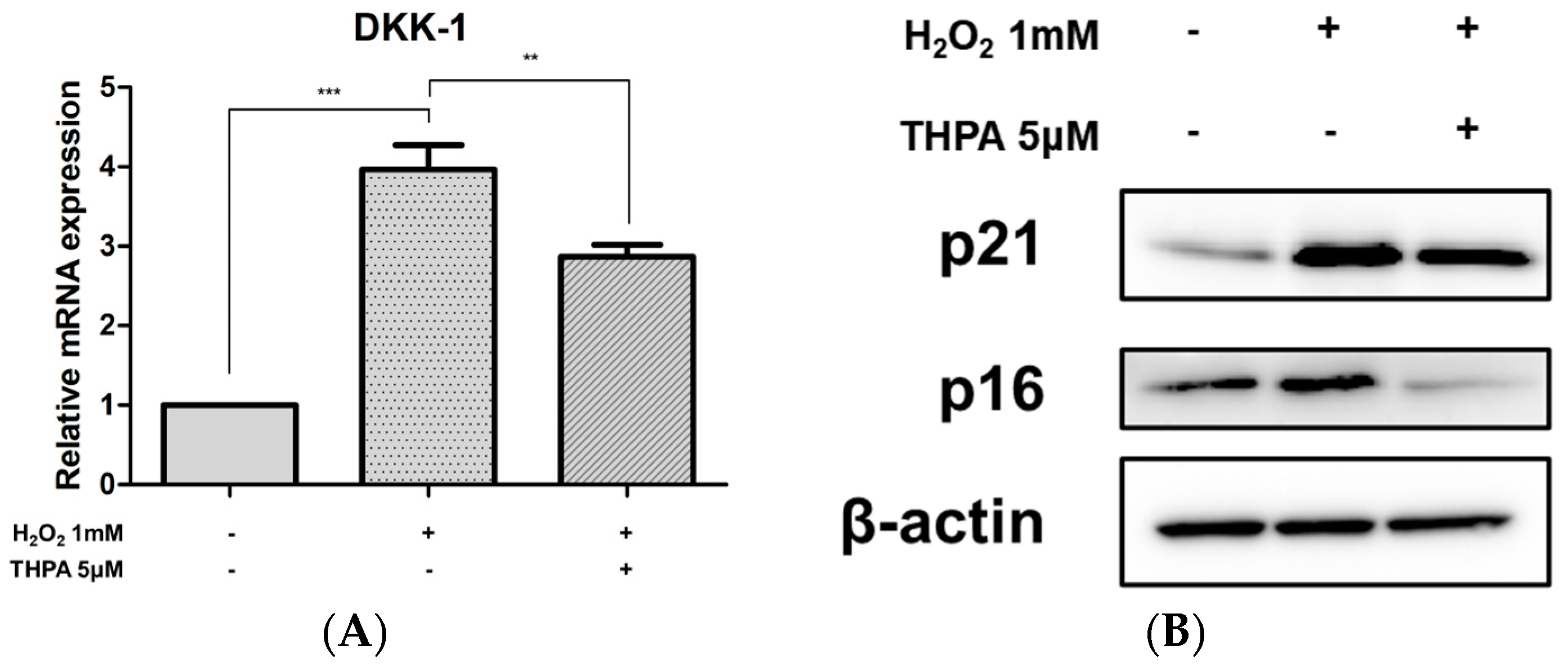 Cosmetics 11 00105 g008 Cosmetics 11 00105 g008