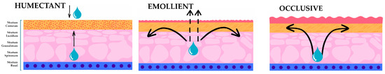 Strategic Approaches in Formulation Development for Atopic Dermatitis