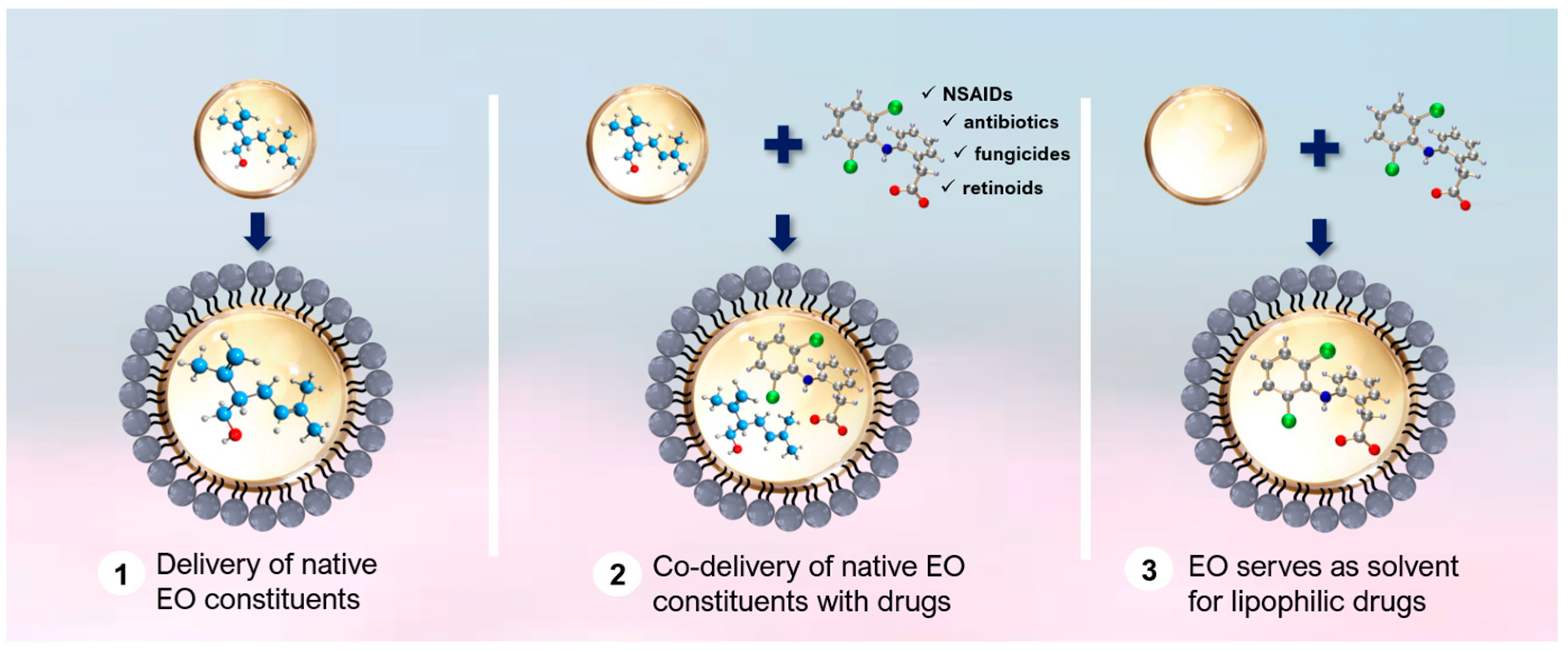 Cosmetics 11 00116 g002