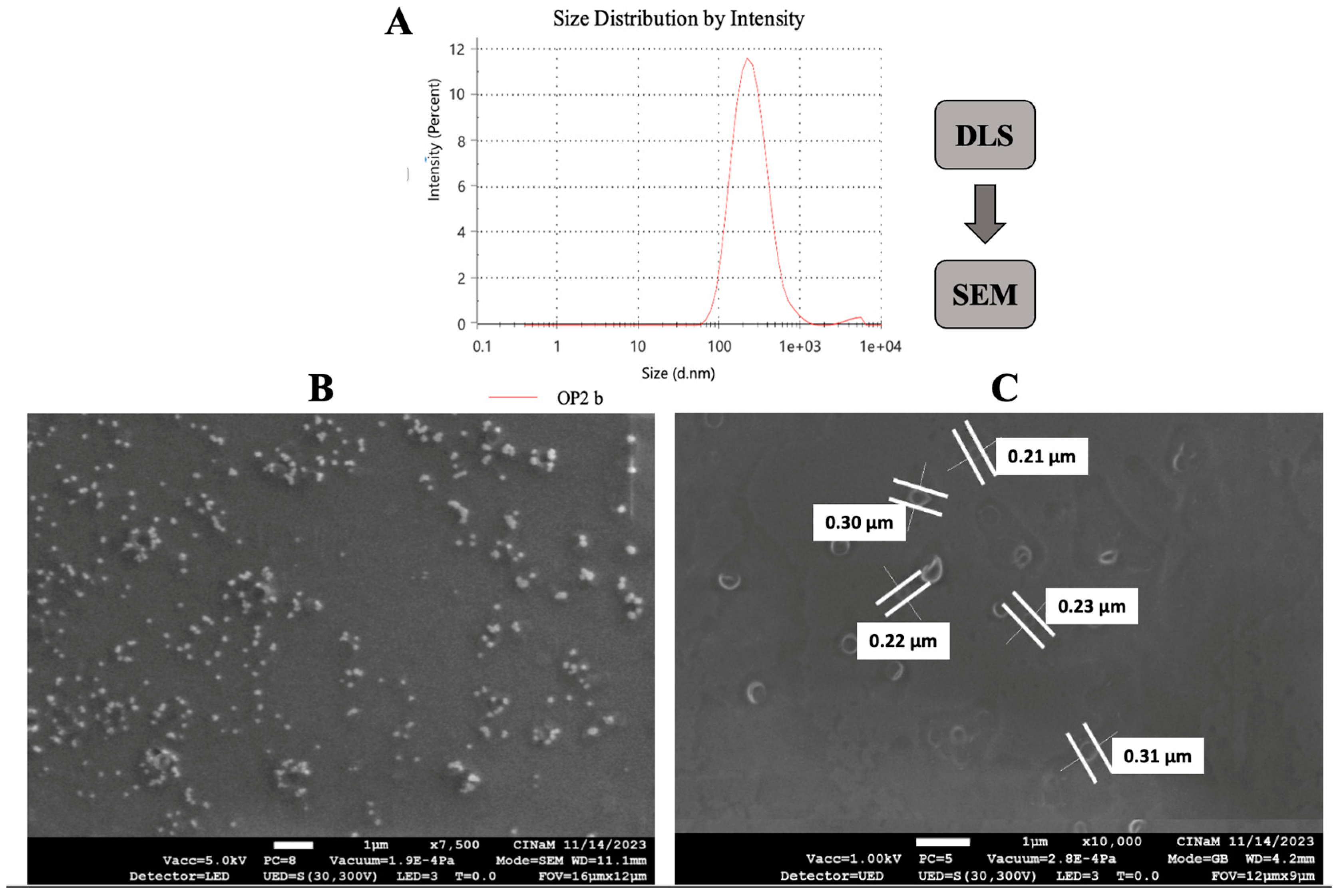 Cosmetics 11 00120 g010