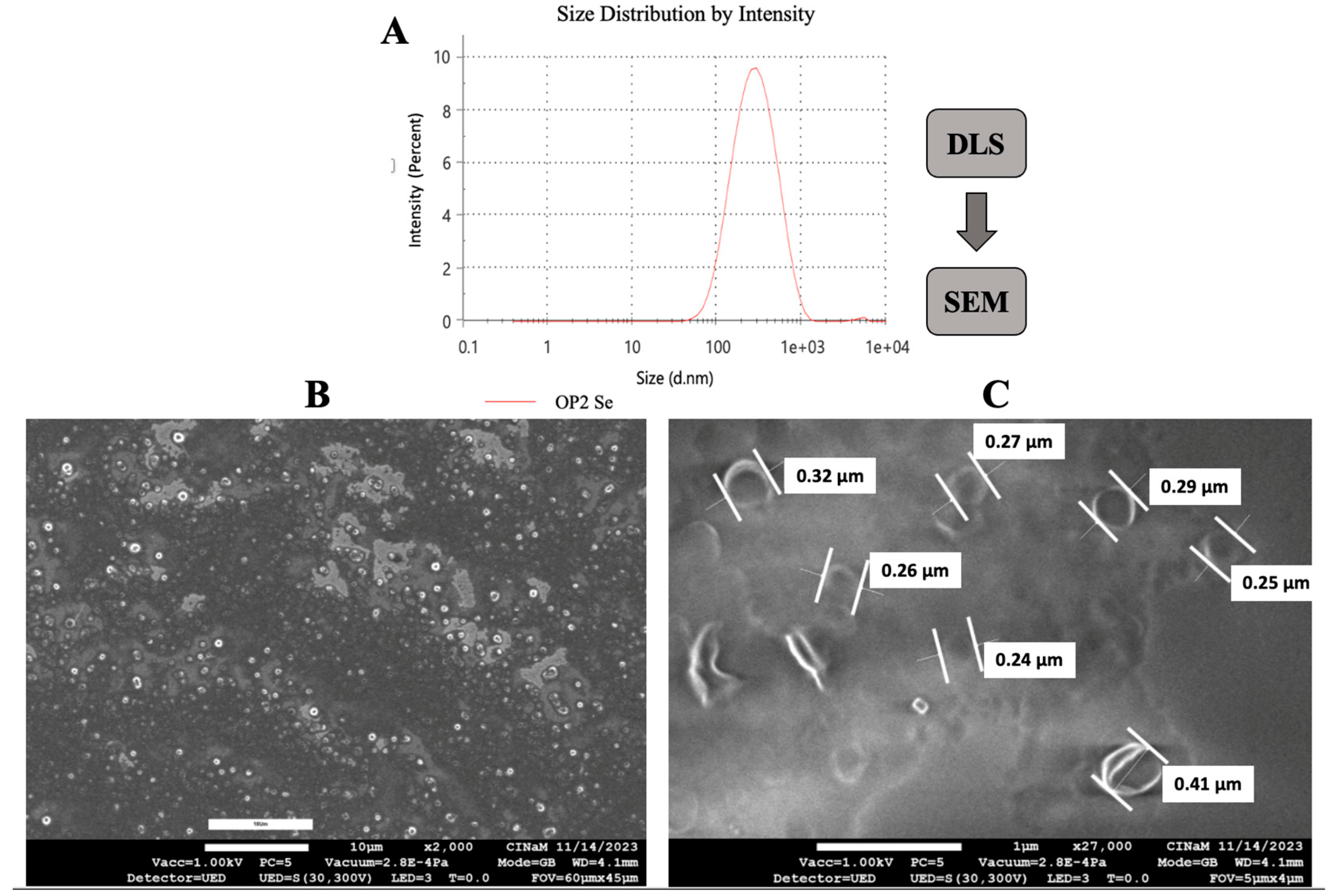 Cosmetics 11 00120 g011