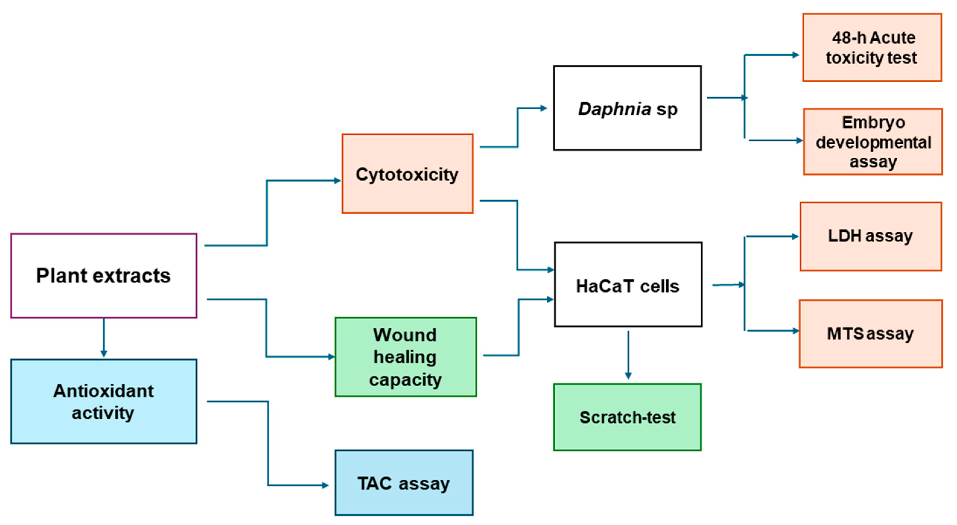 Cosmetics 11 00124 g001