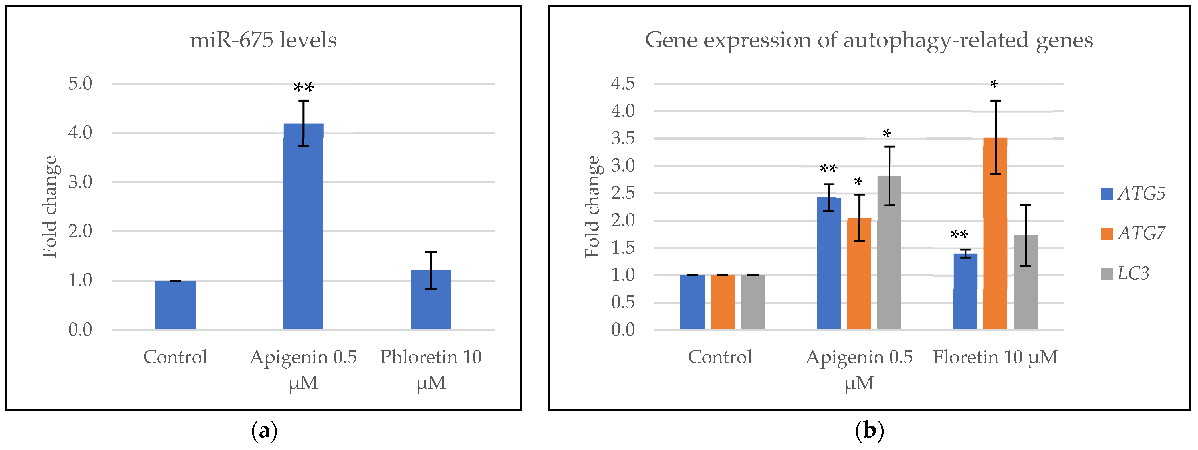 Cosmetics 11 00128 g004