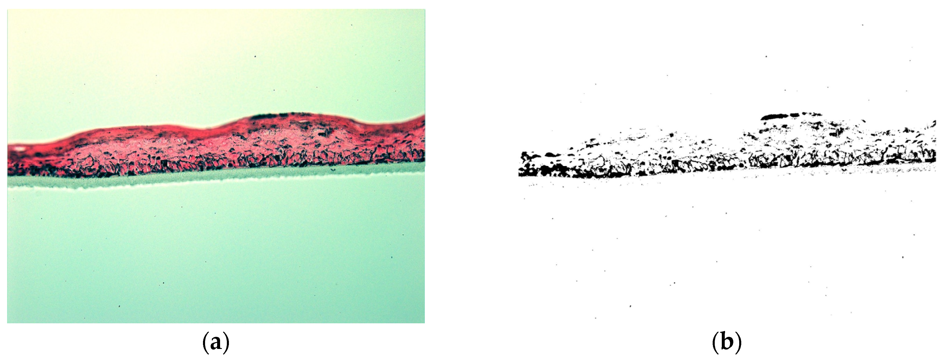 Cosmetics 11 00128 g007a