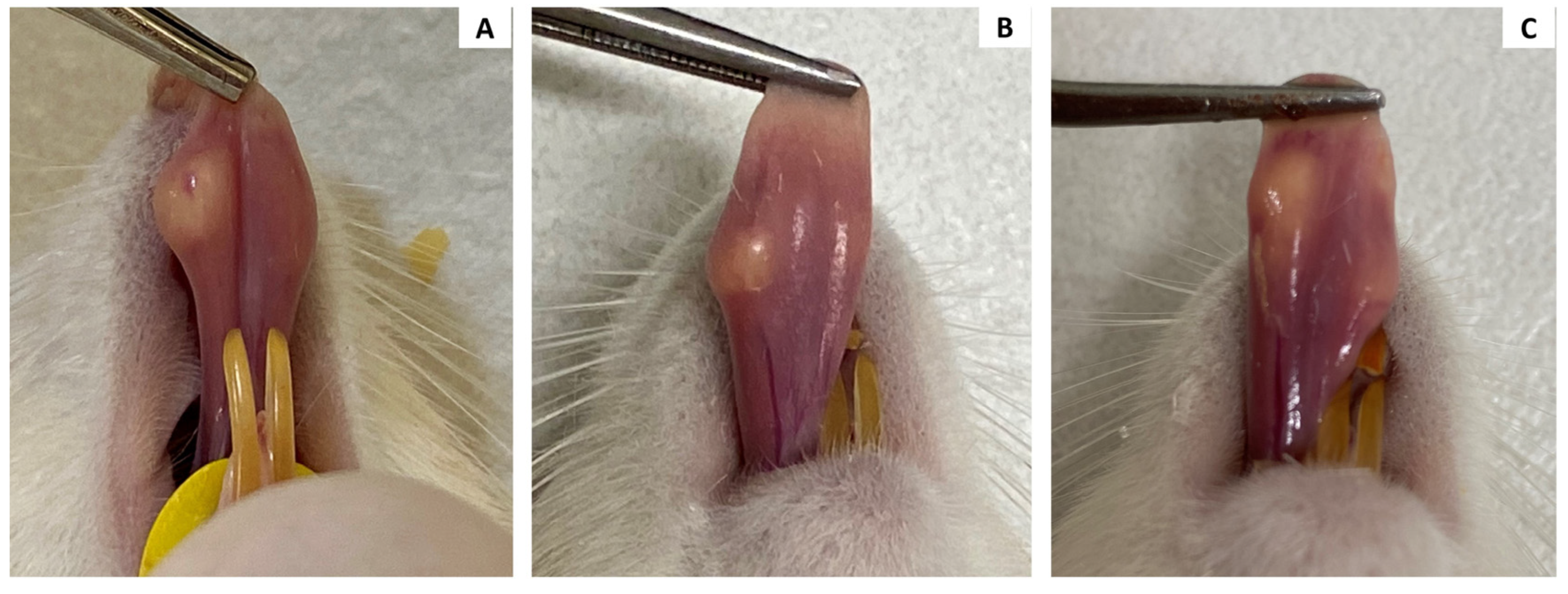 Cosmetics 11 00130 g003