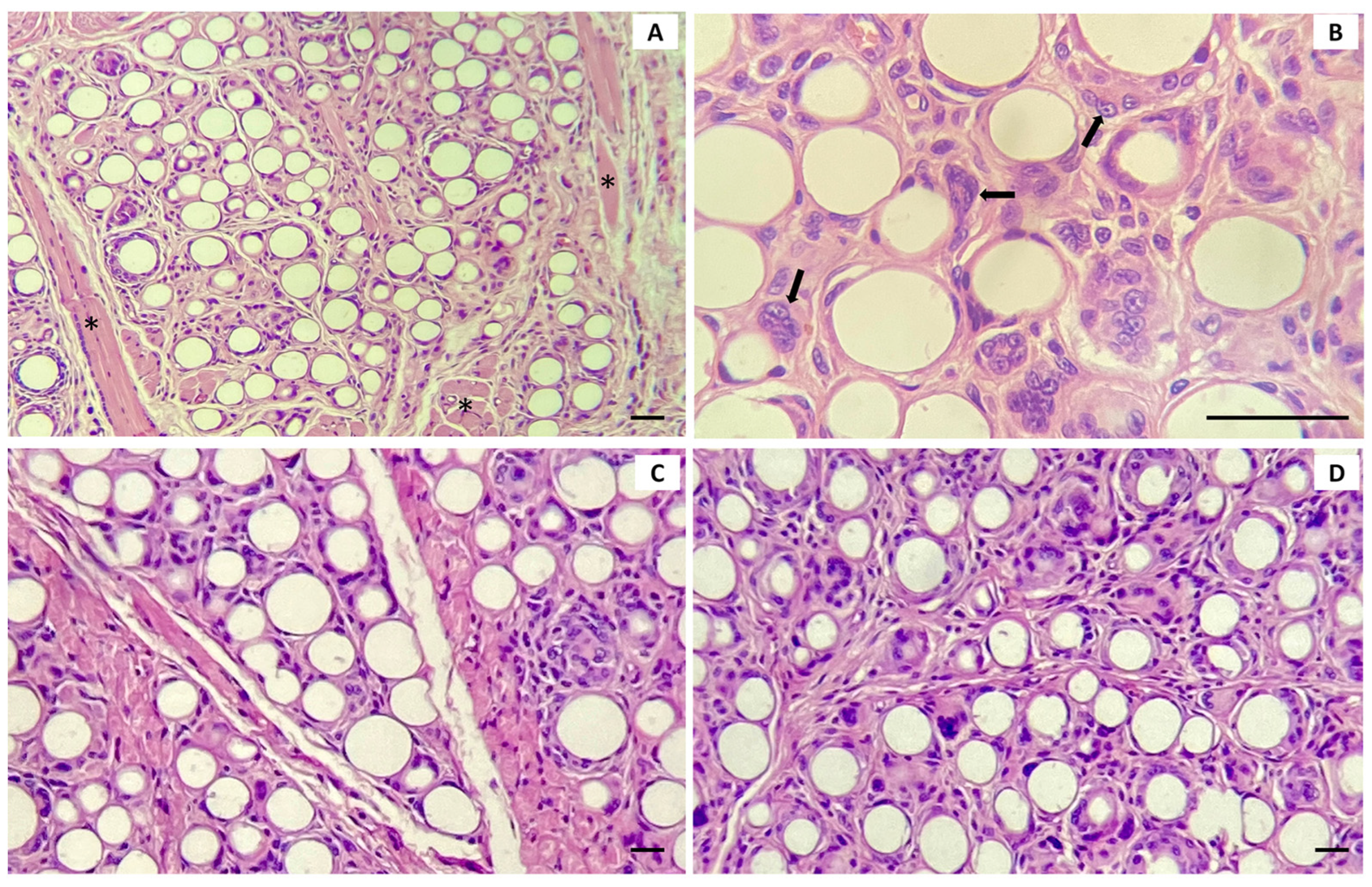 Cosmetics 11 00130 g005