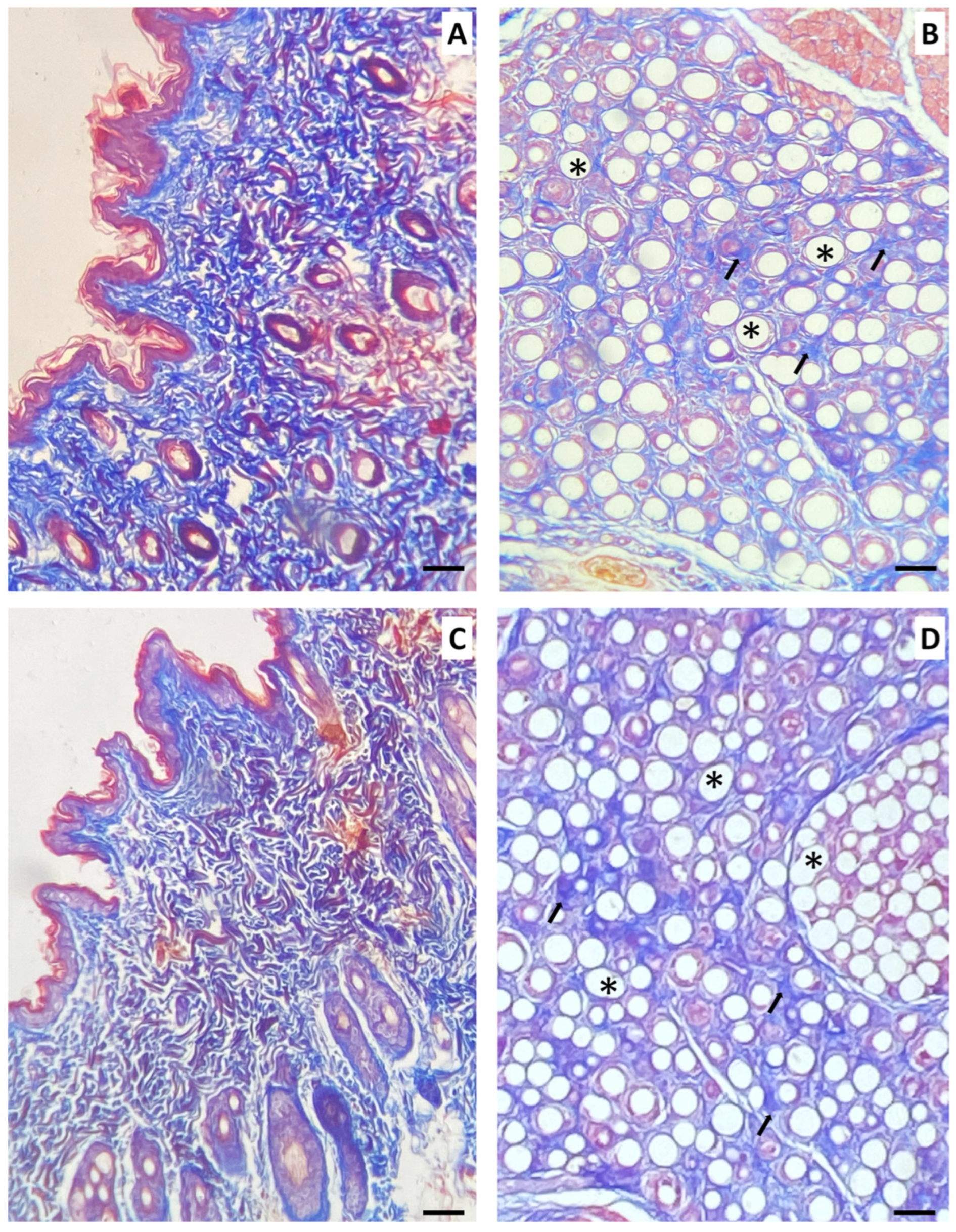 Cosmetics 11 00130 g006