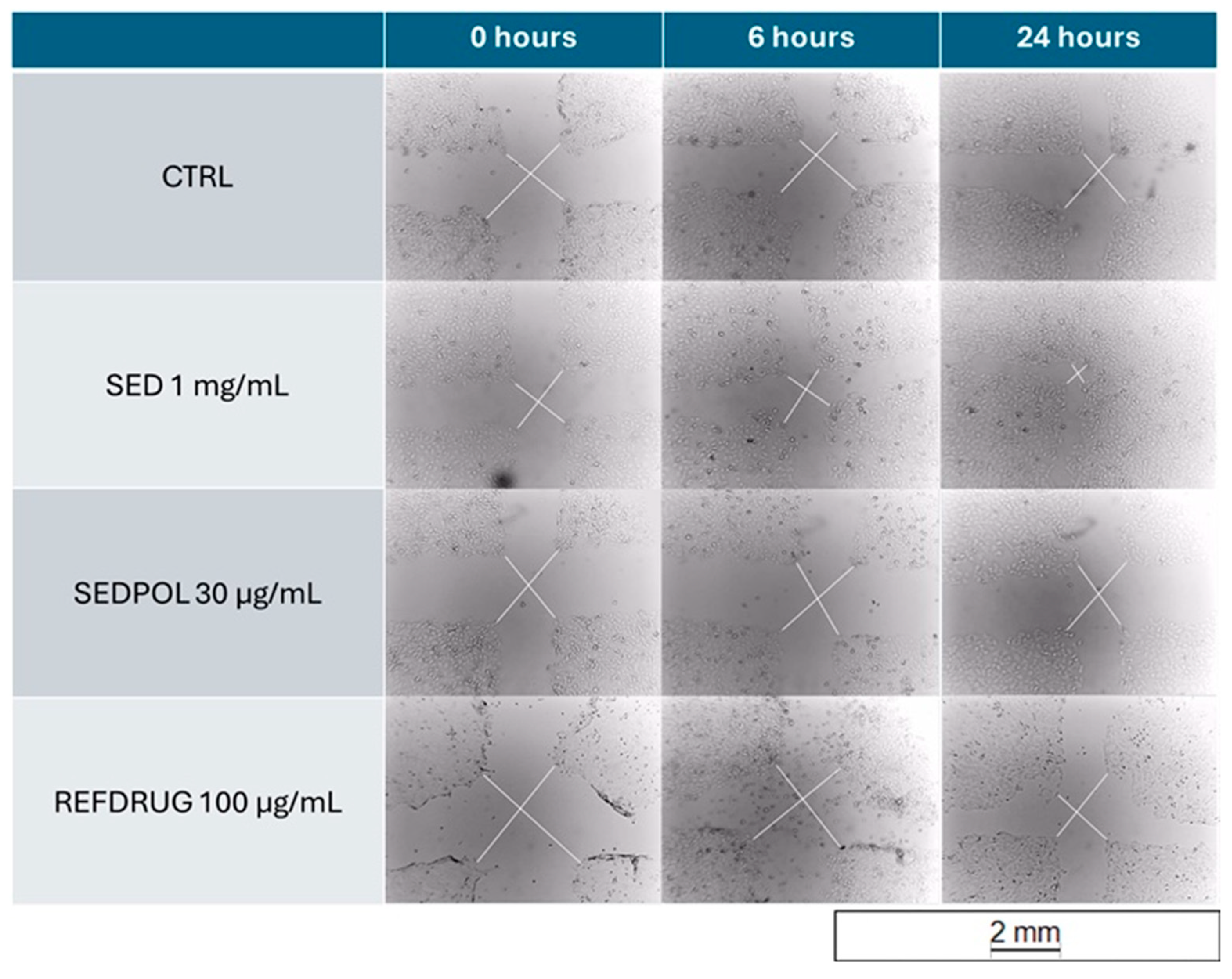 Cosmetics 11 00131 g002