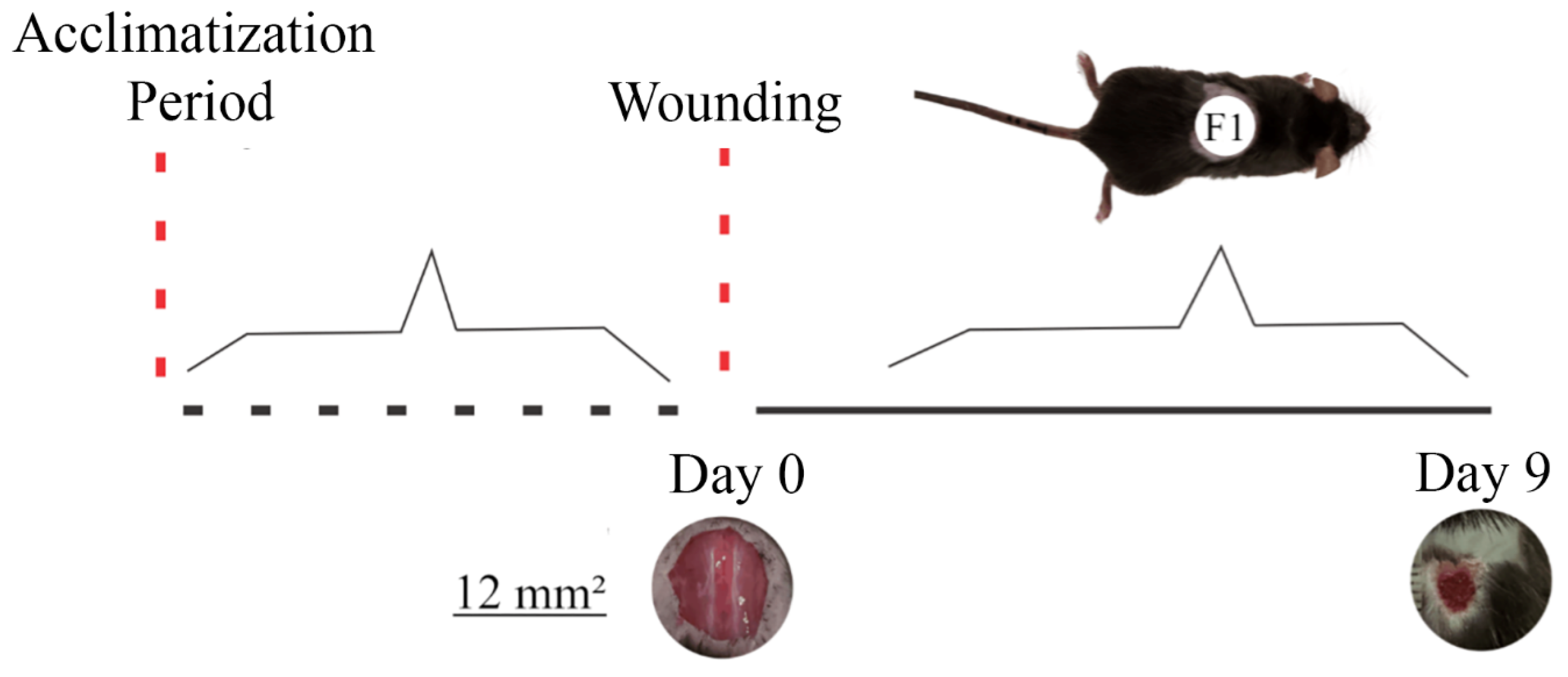 Cosmetics 11 00133 g001