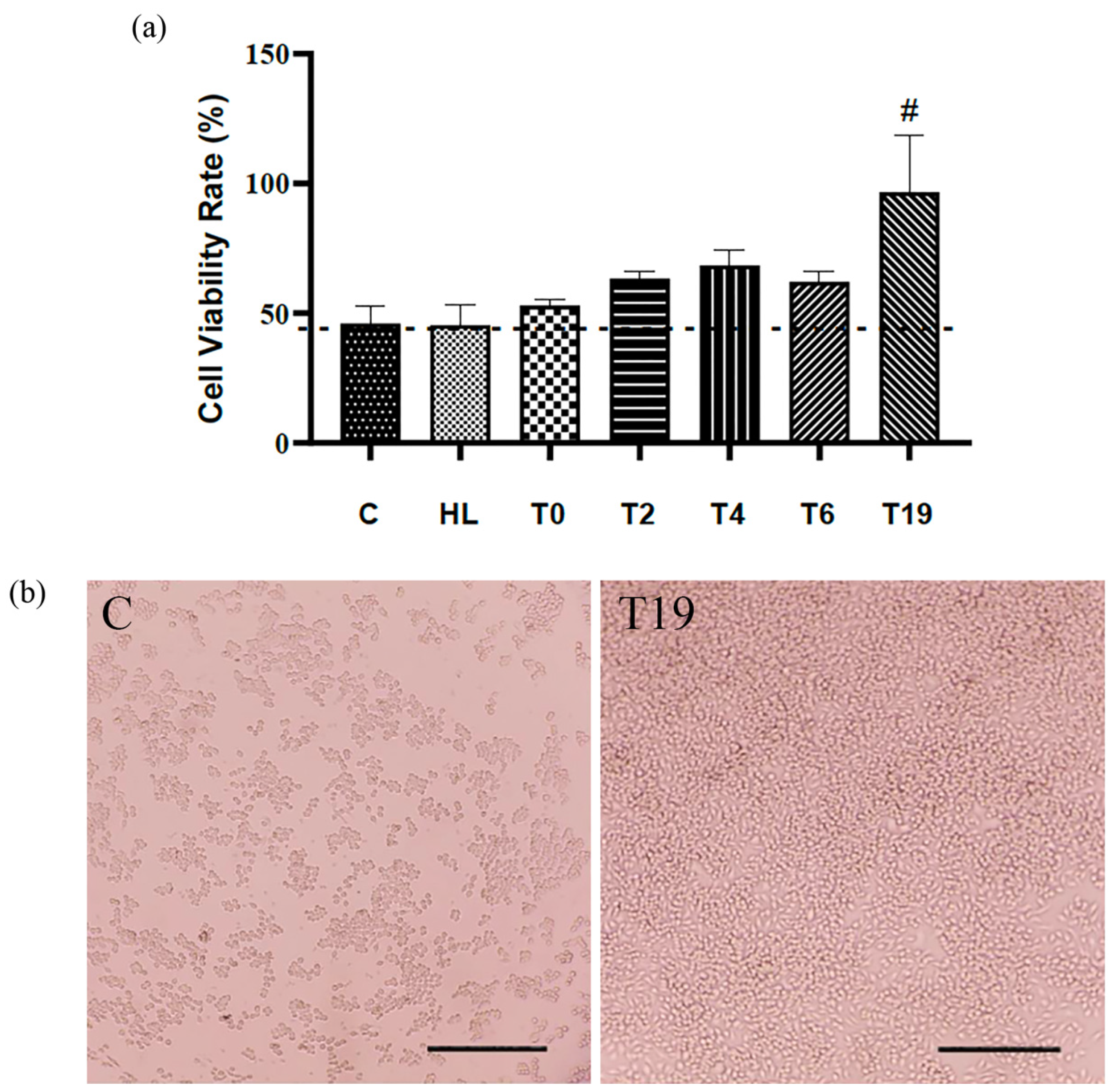Cosmetics 11 00133 g002