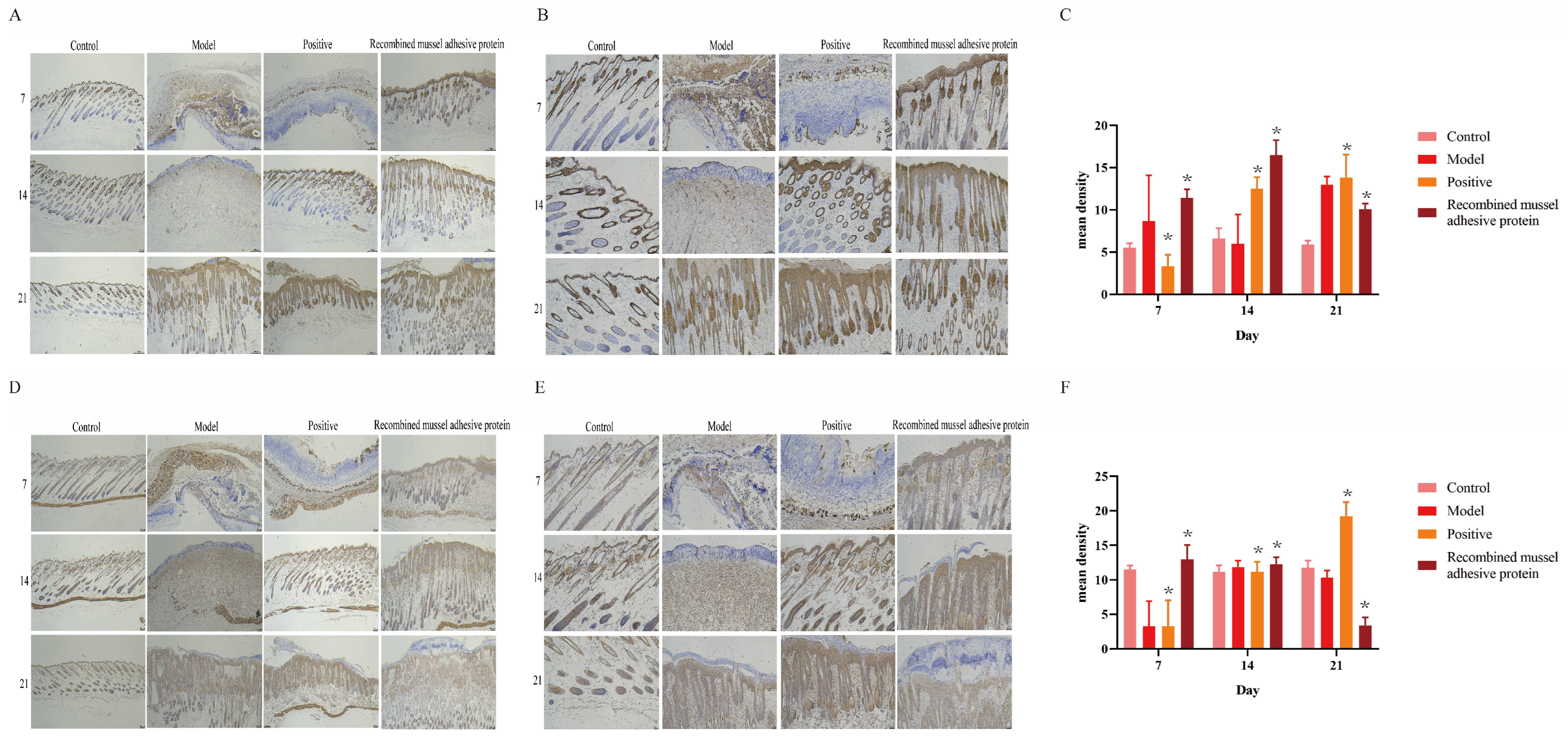 Cosmetics 11 00134 g003