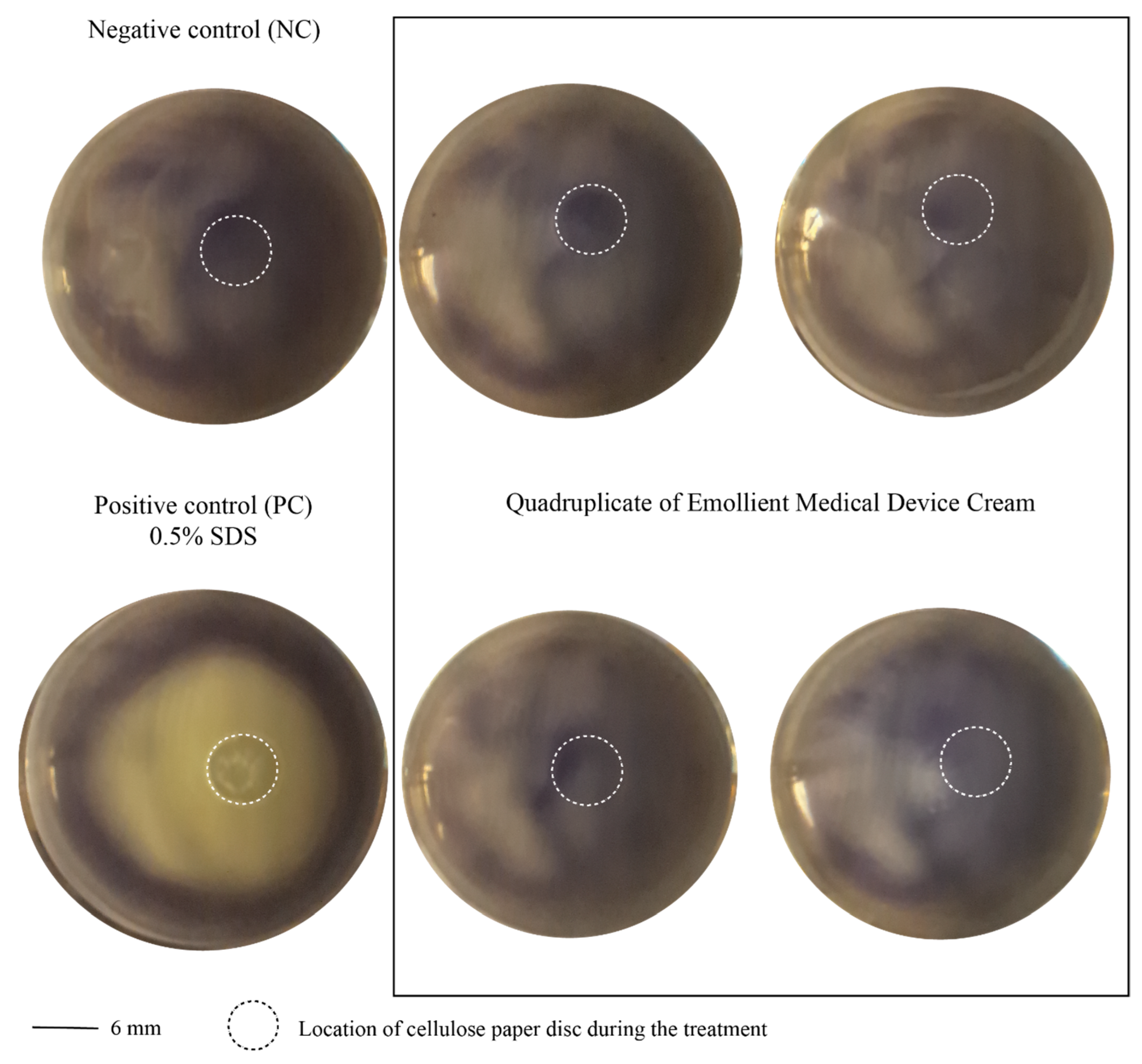 Cosmetics 11 00136 g002 Cosmetics 11 00136 g002