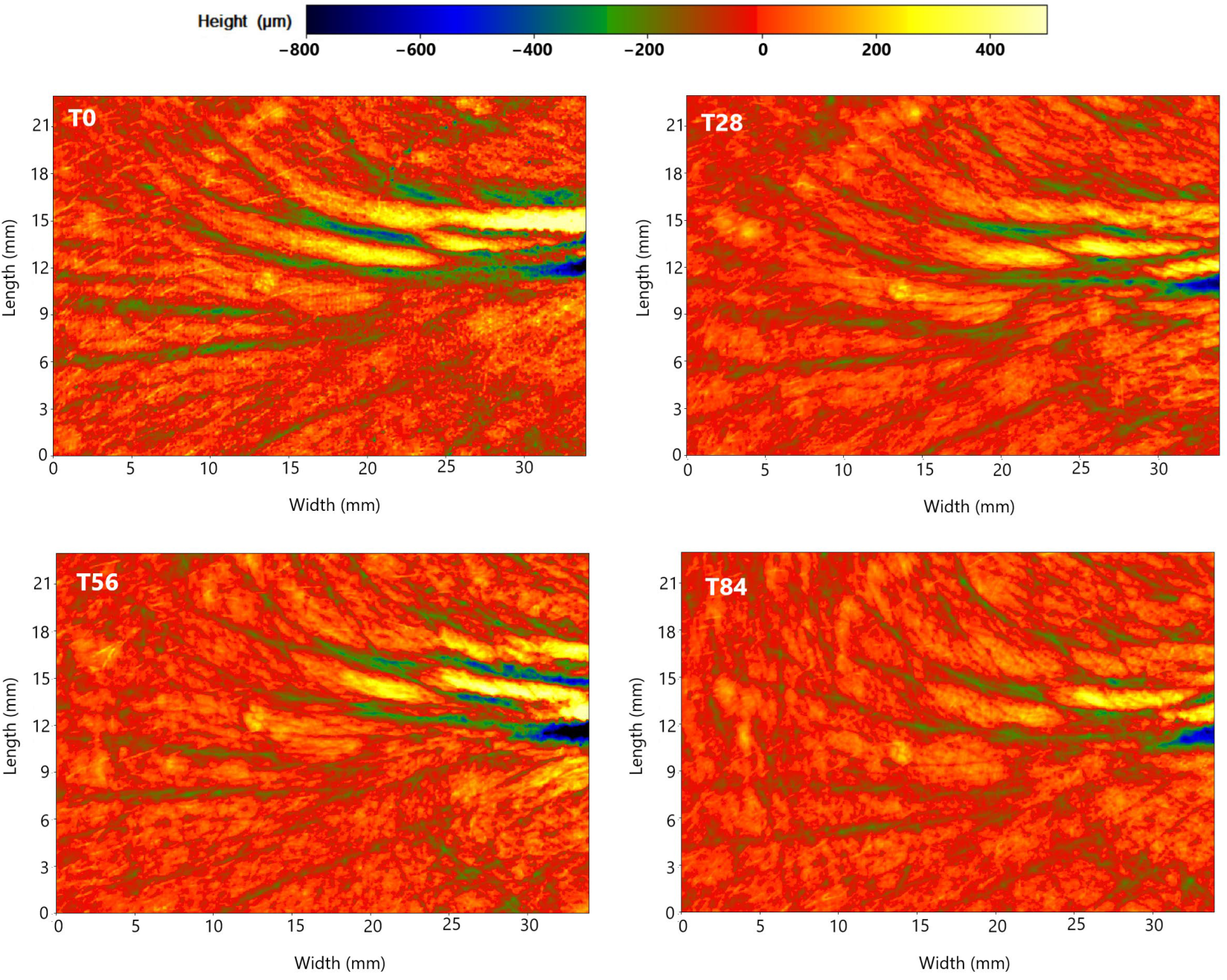 Cosmetics 11 00139 g005