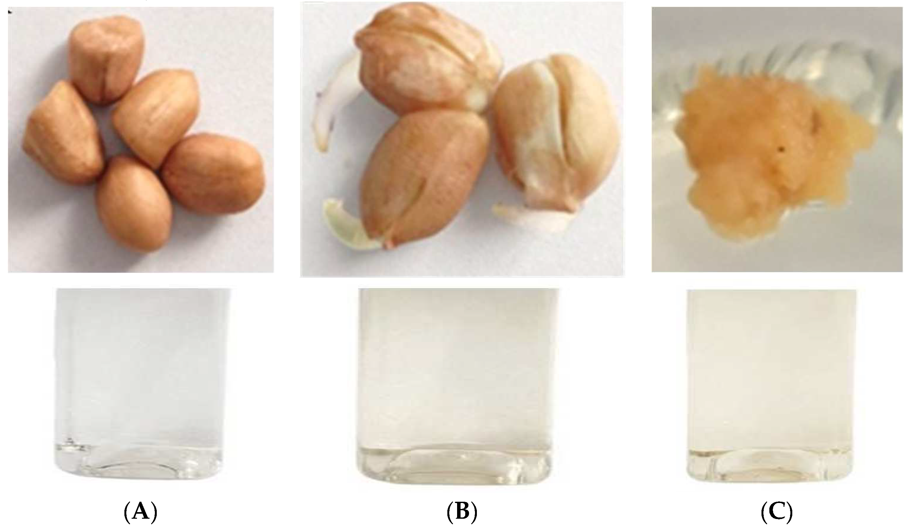 Cosmetics 11 00146 g001