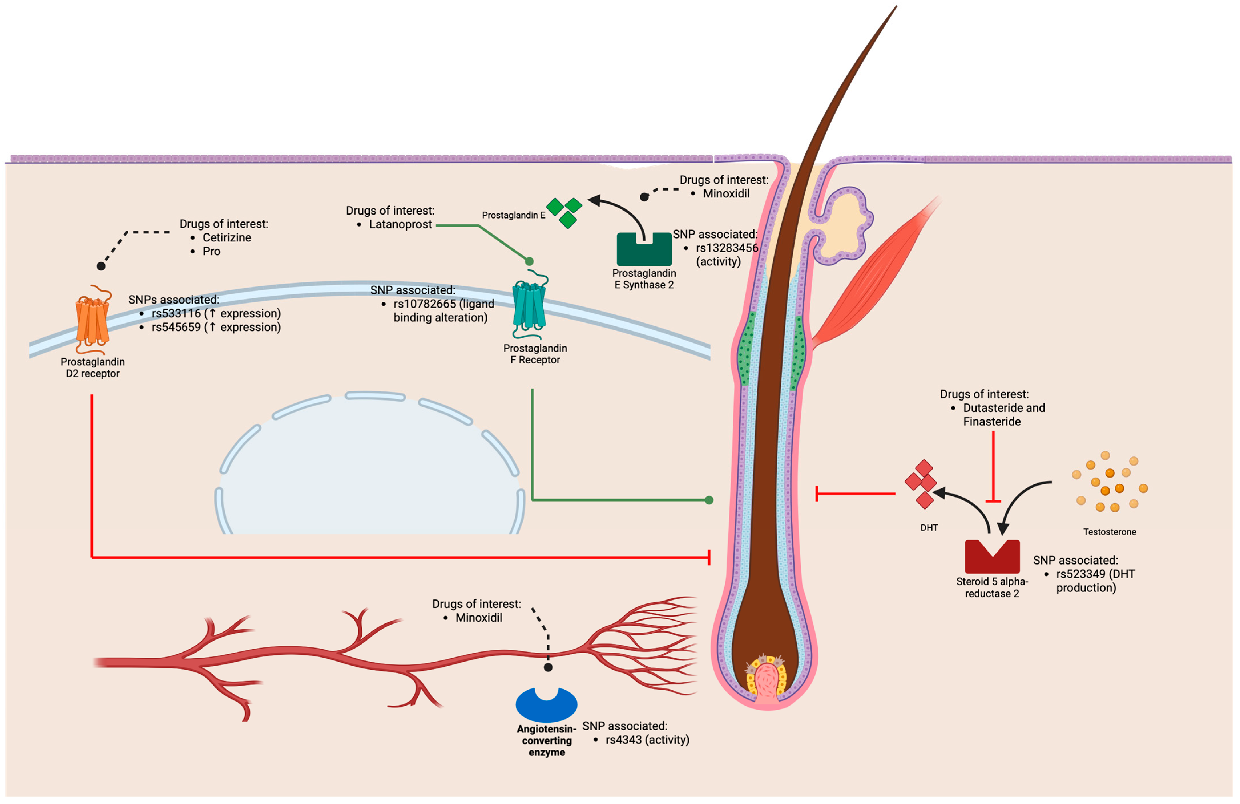 Cosmetics 11 00148 g001