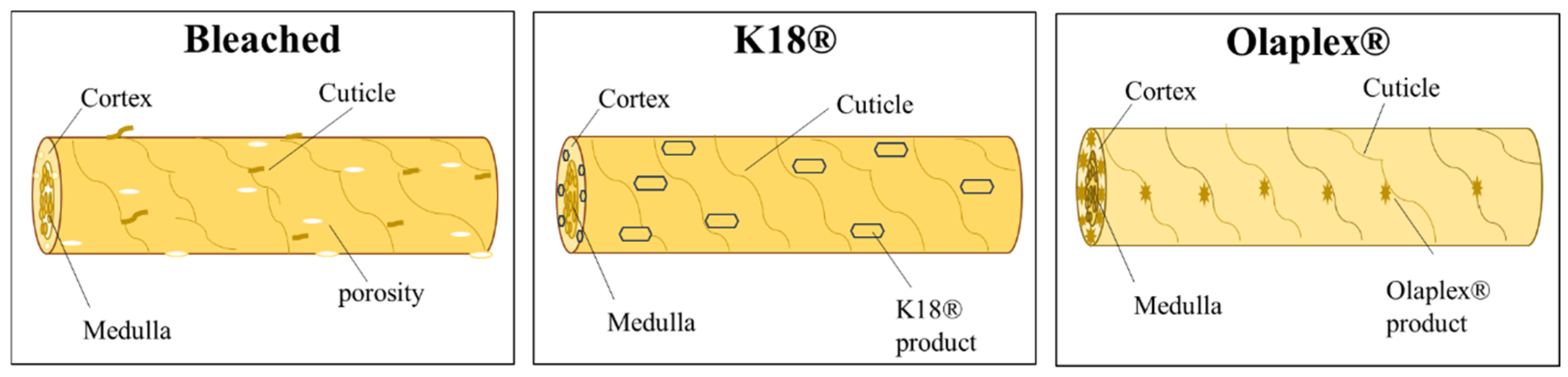 Cosmetics 11 00150 g011