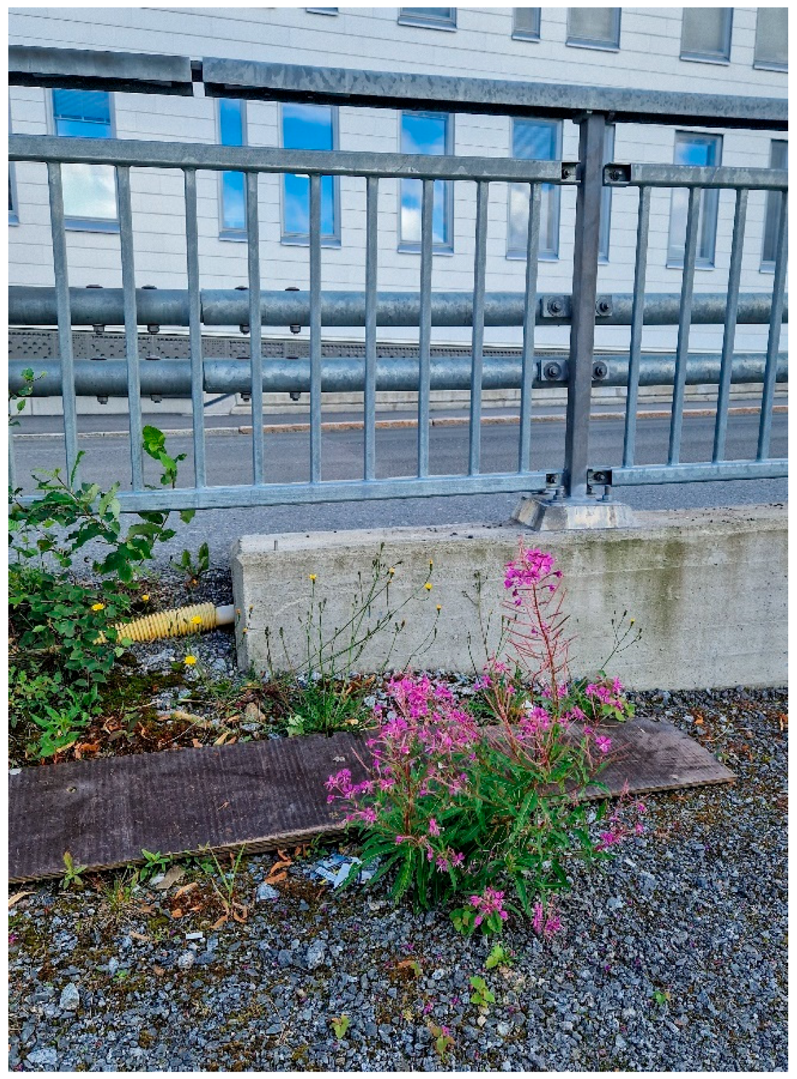 Cosmetics 11 00156 g001