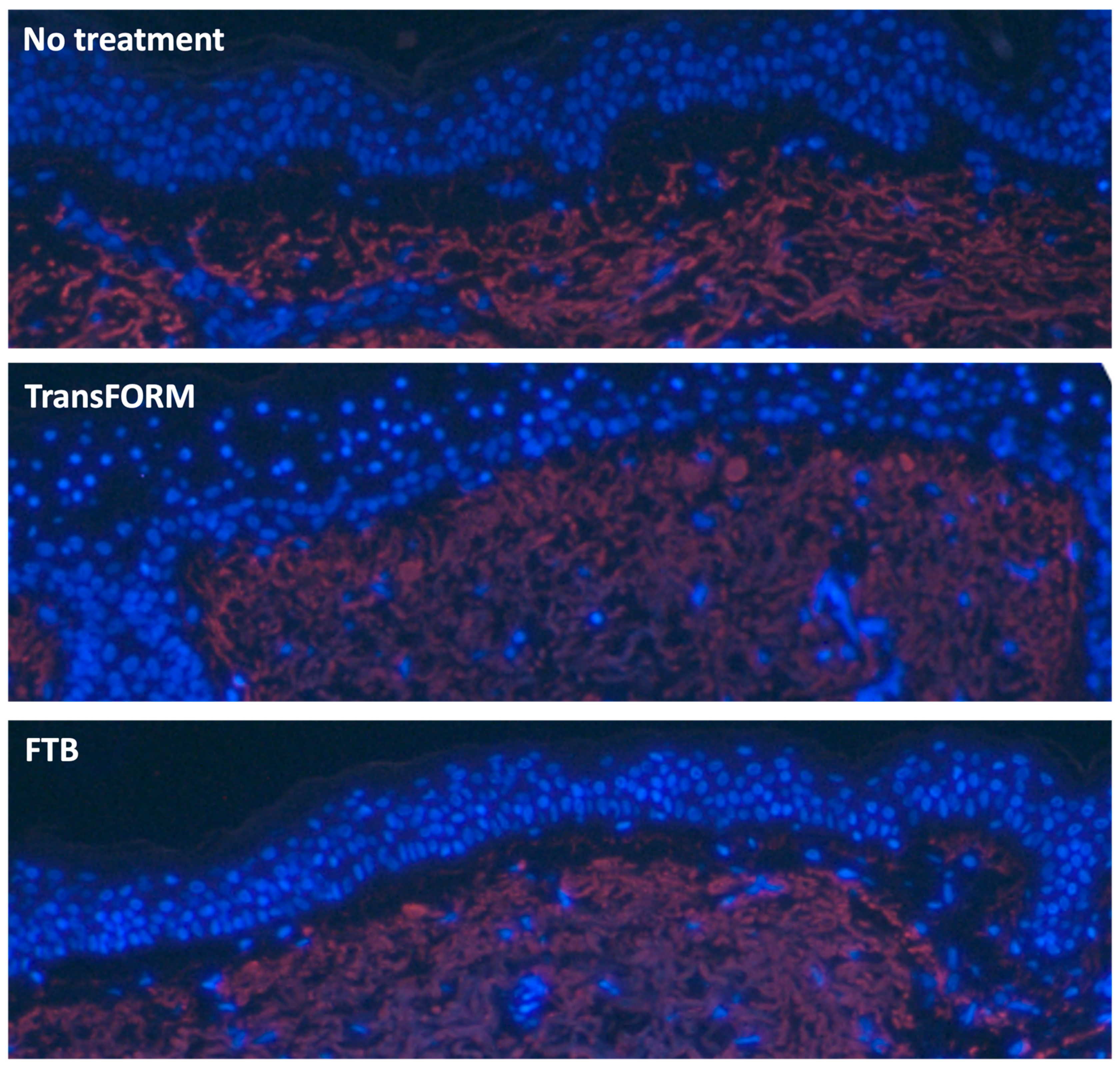 Cosmetics 11 00159 g004