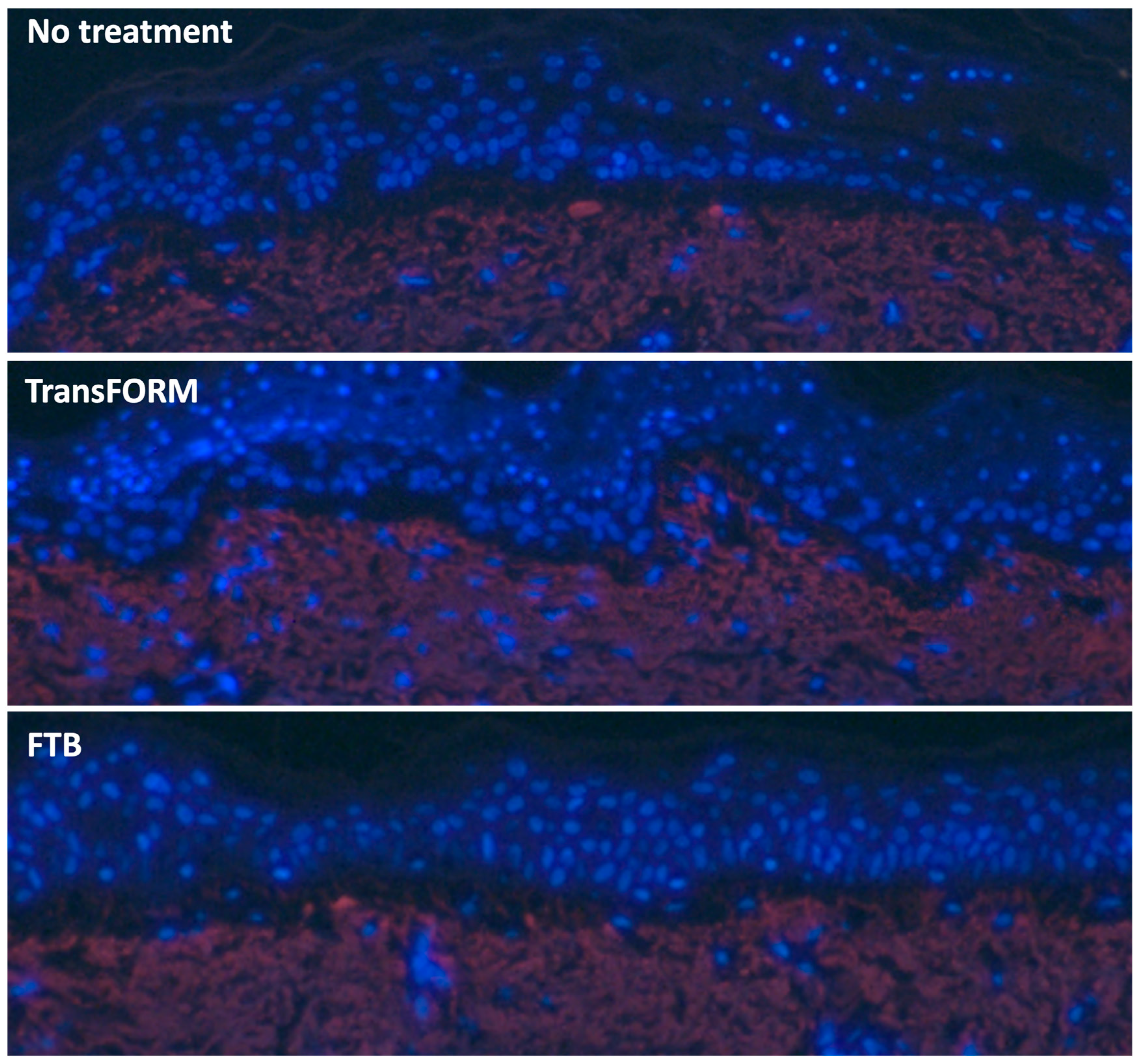 Cosmetics 11 00159 g005
