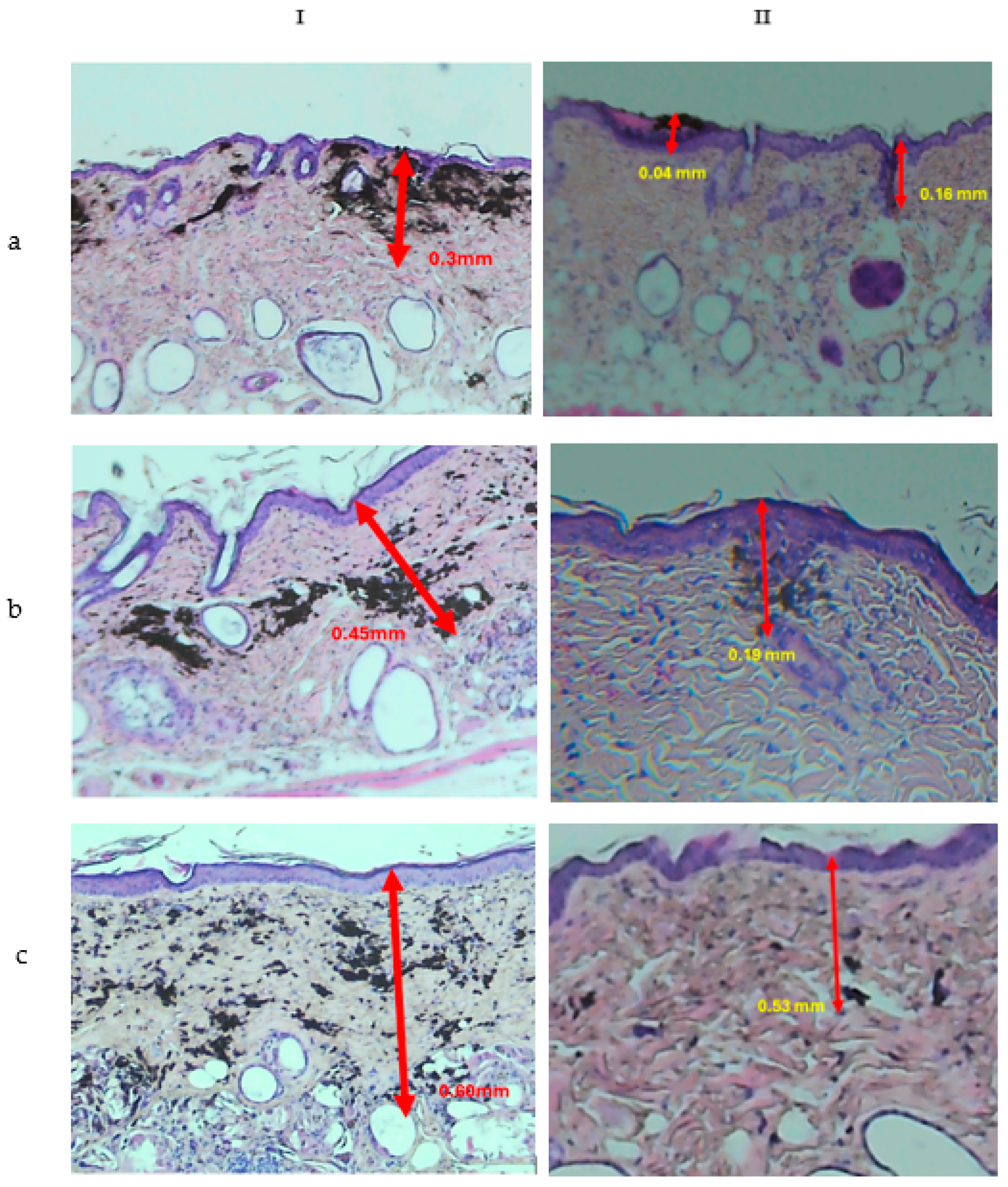 Cosmetics 11 00160 g001
