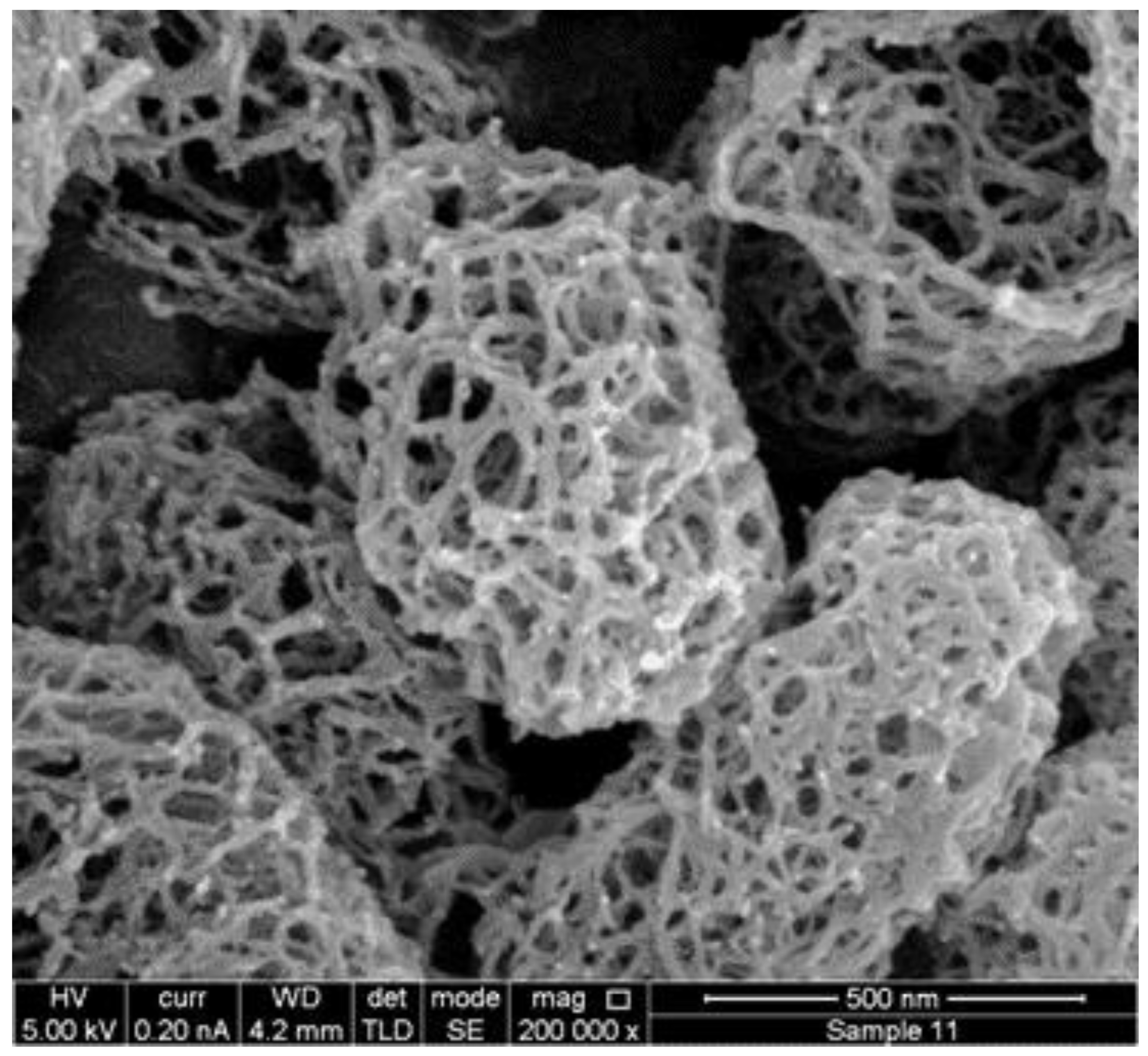 Cosmetics 11 00166 g001