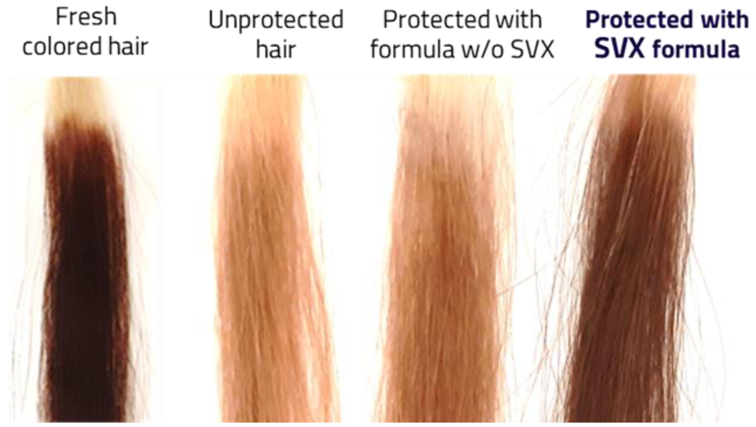 Cosmetics 11 00166 g005