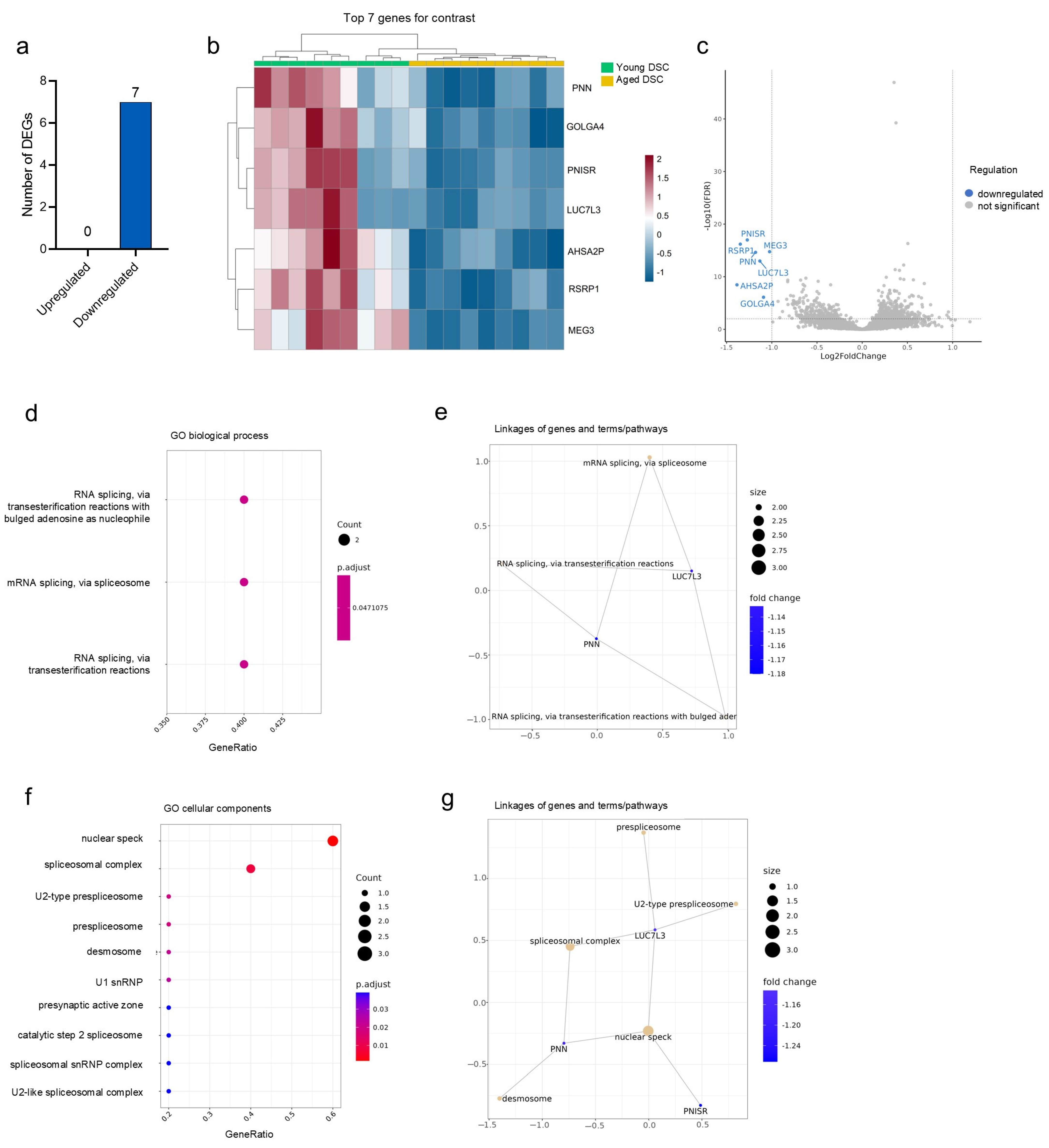 Cosmetics 11 00167 g002 Cosmetics 11 00167 g002