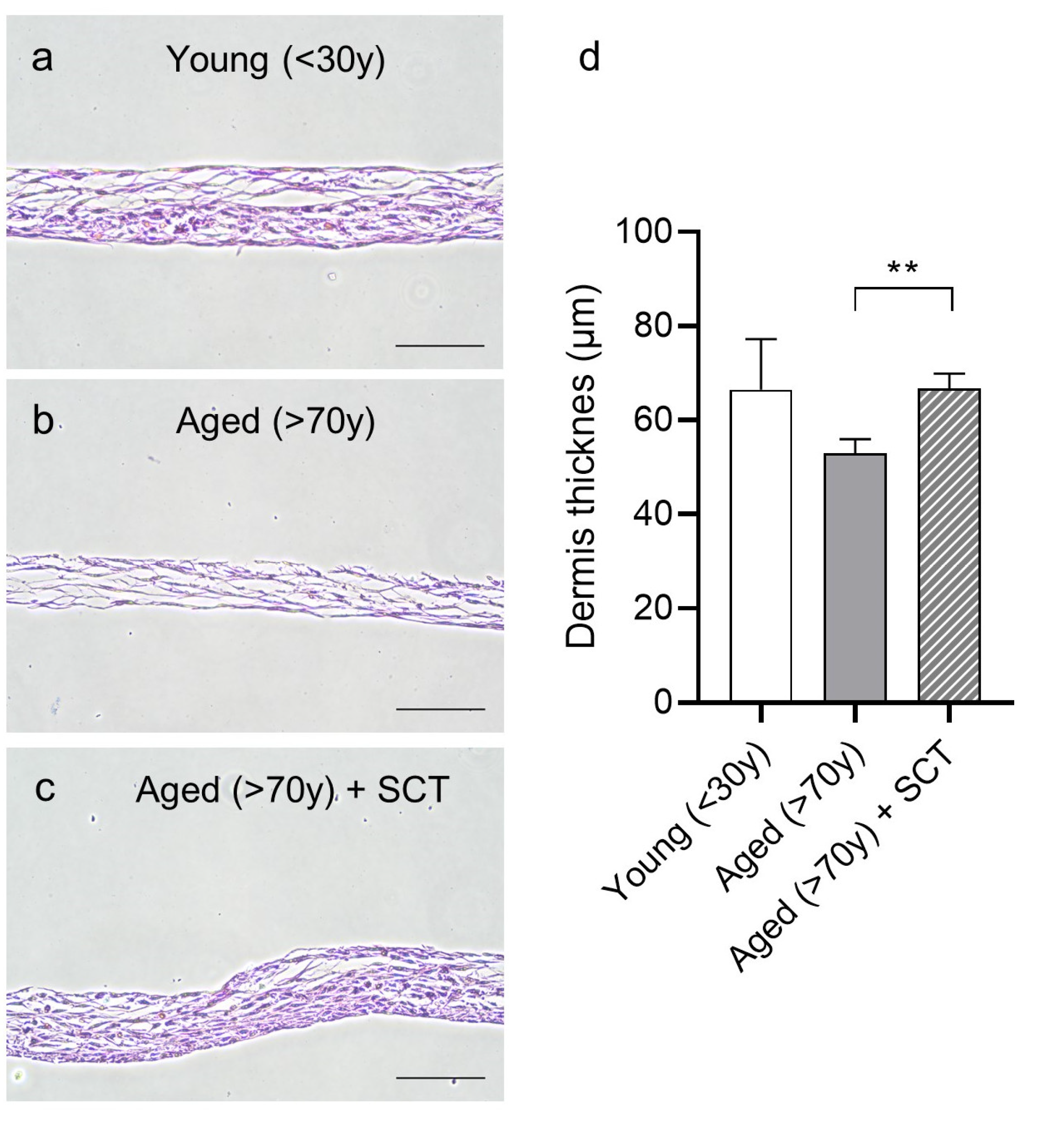 Cosmetics 11 00167 g003 Cosmetics 11 00167 g003