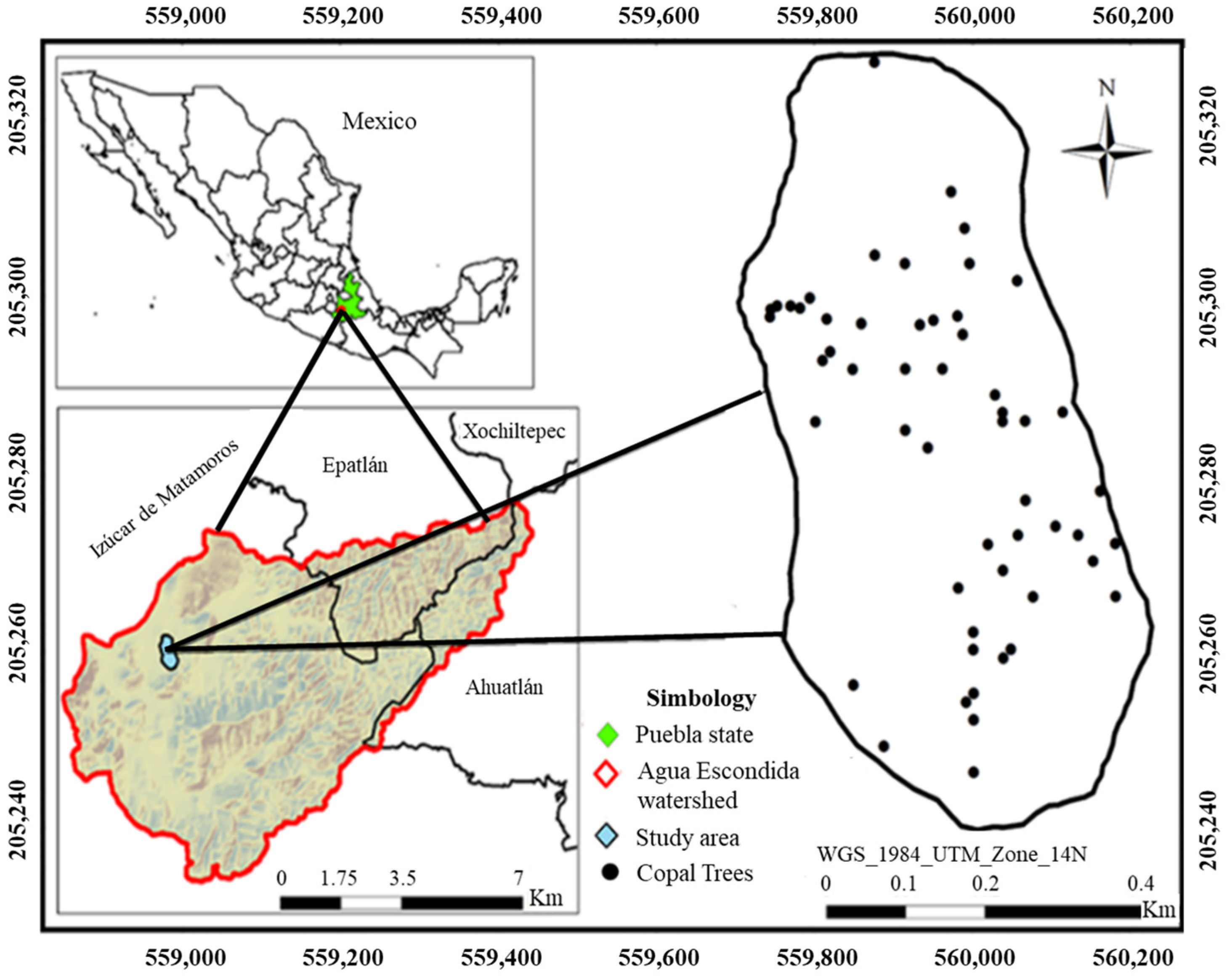 Cosmetics 11 00169 g001