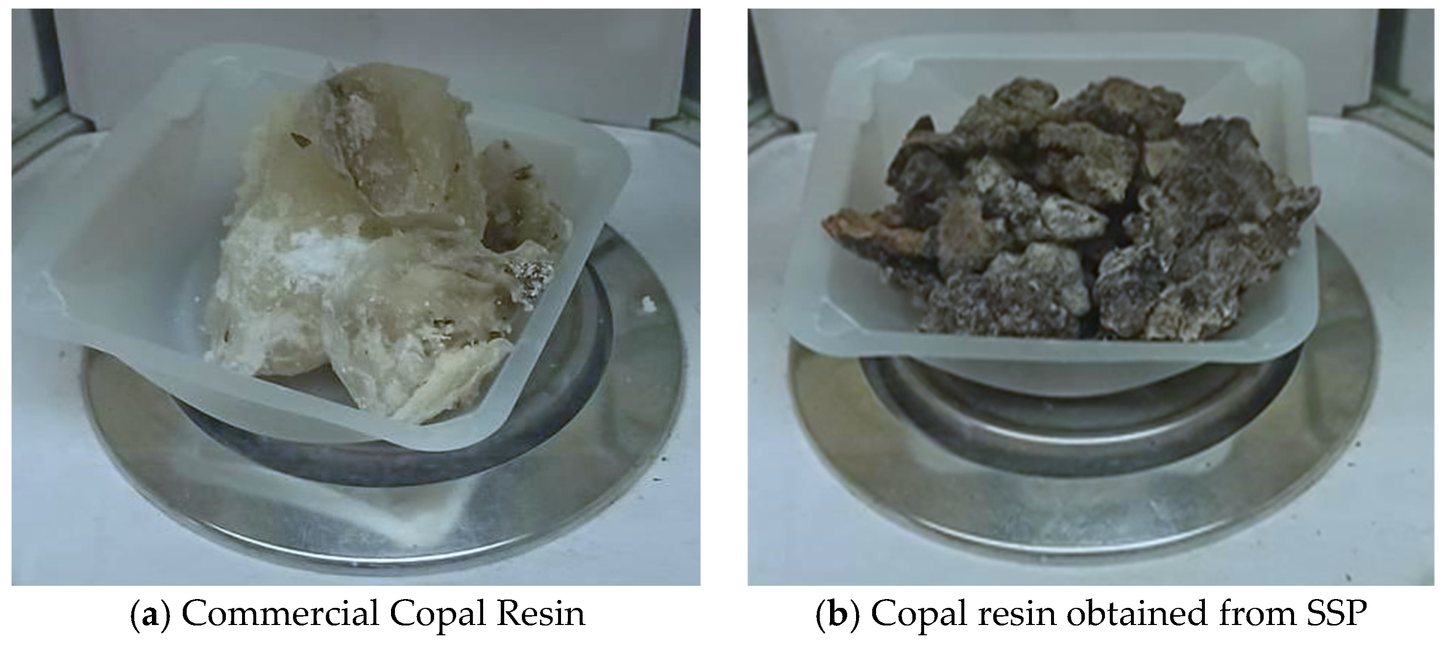 Cosmetics 11 00169 g002