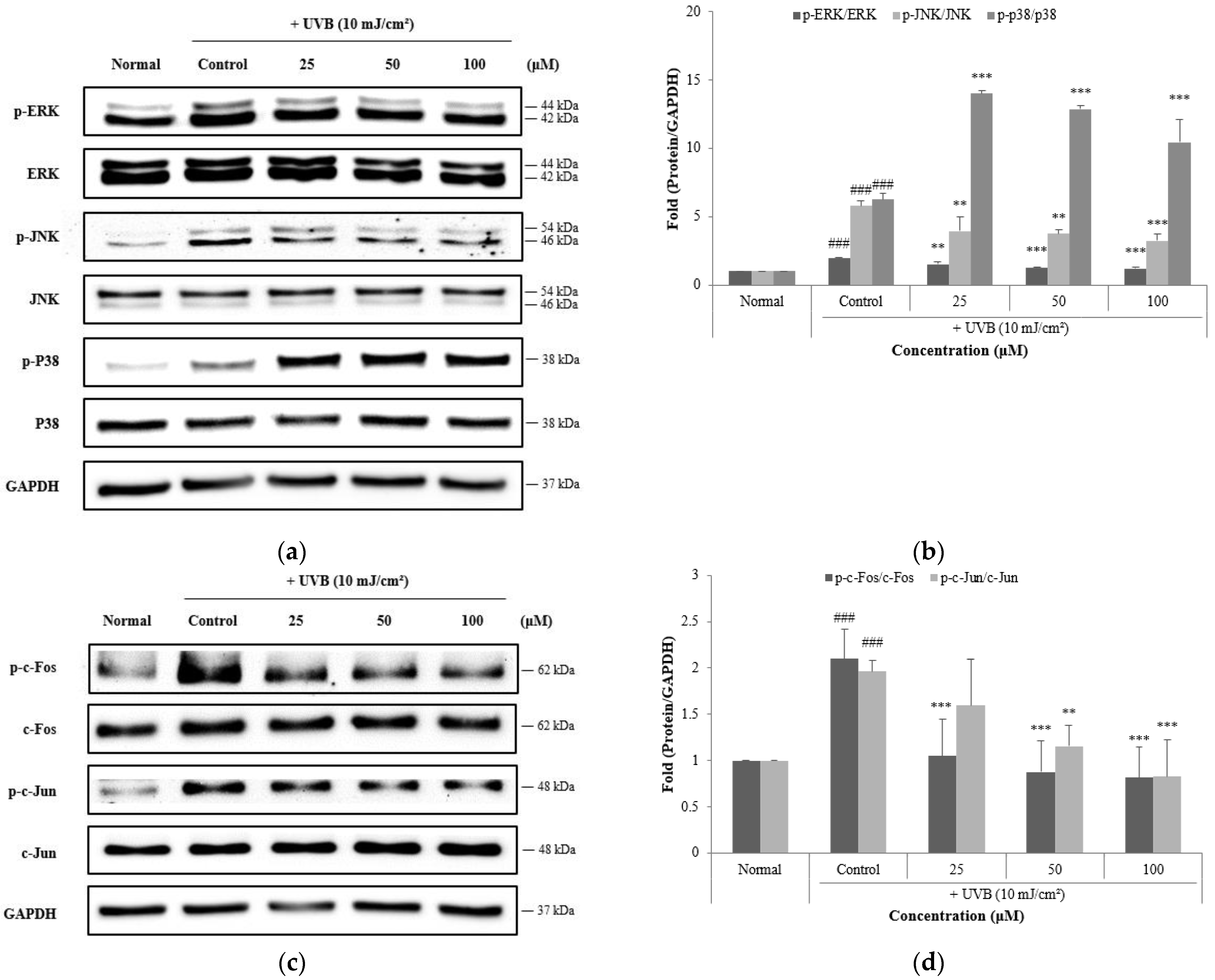 Cosmetics 11 00171 g003a