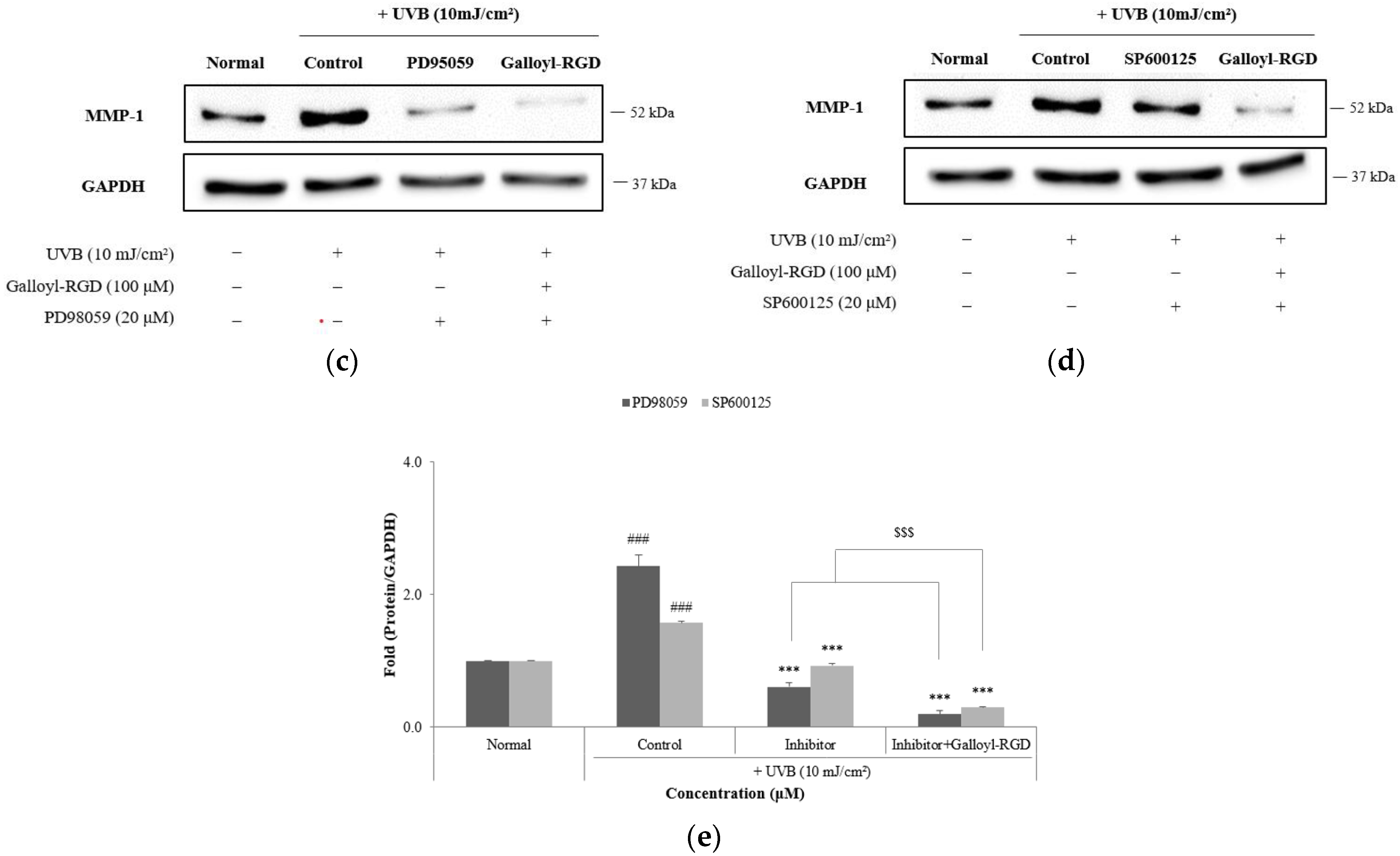 Cosmetics 11 00171 g004b