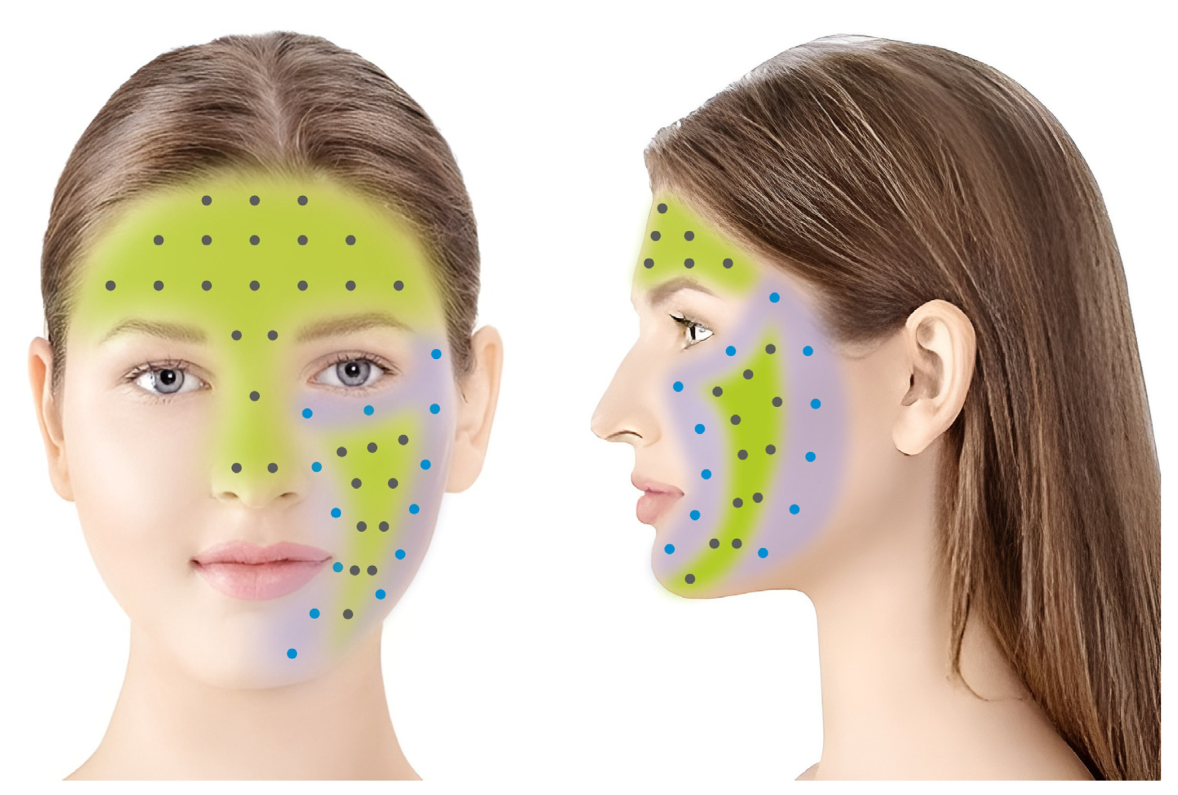 Cosmetics 11 00175 g001