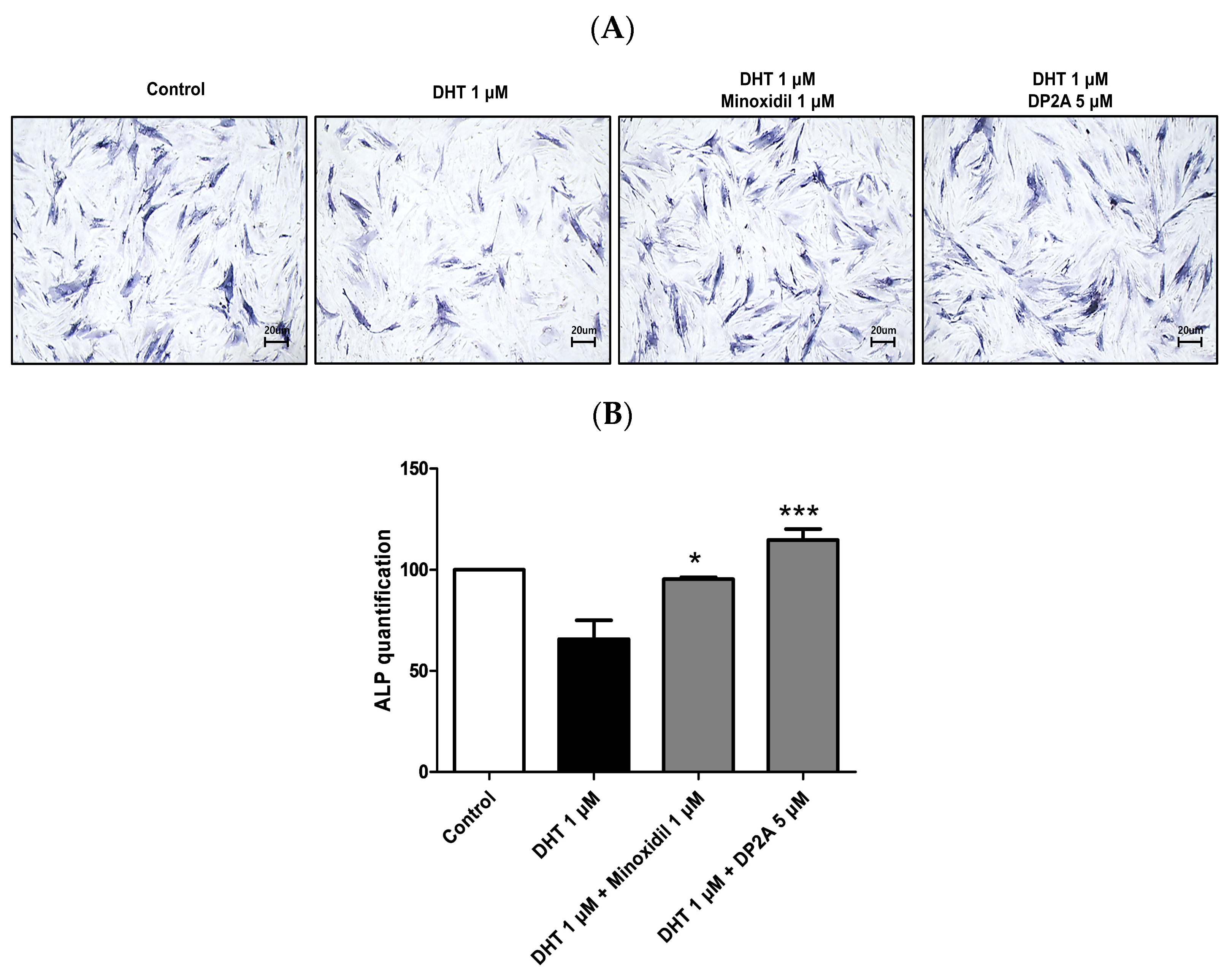Cosmetics 11 00177 g003
