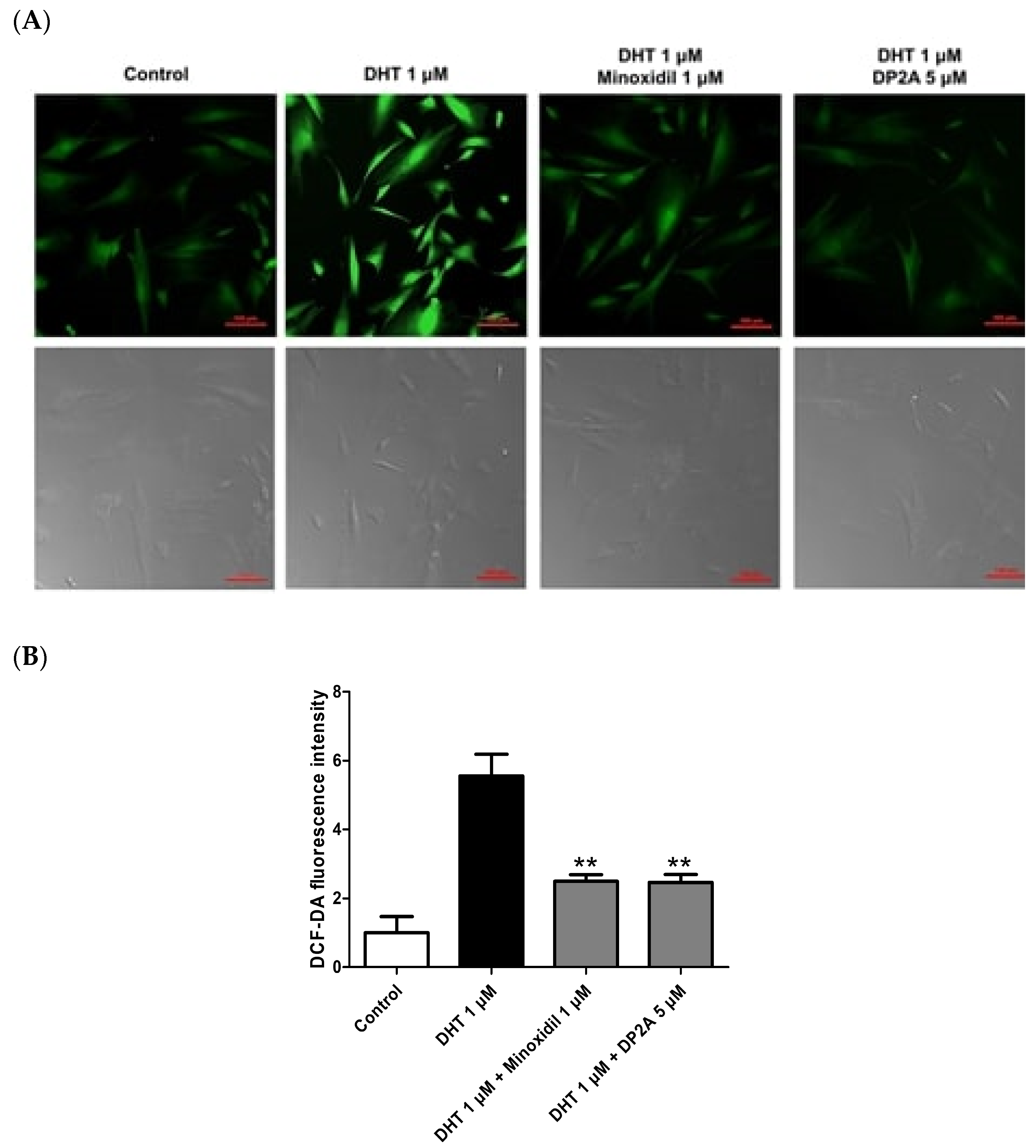 Cosmetics 11 00177 g004