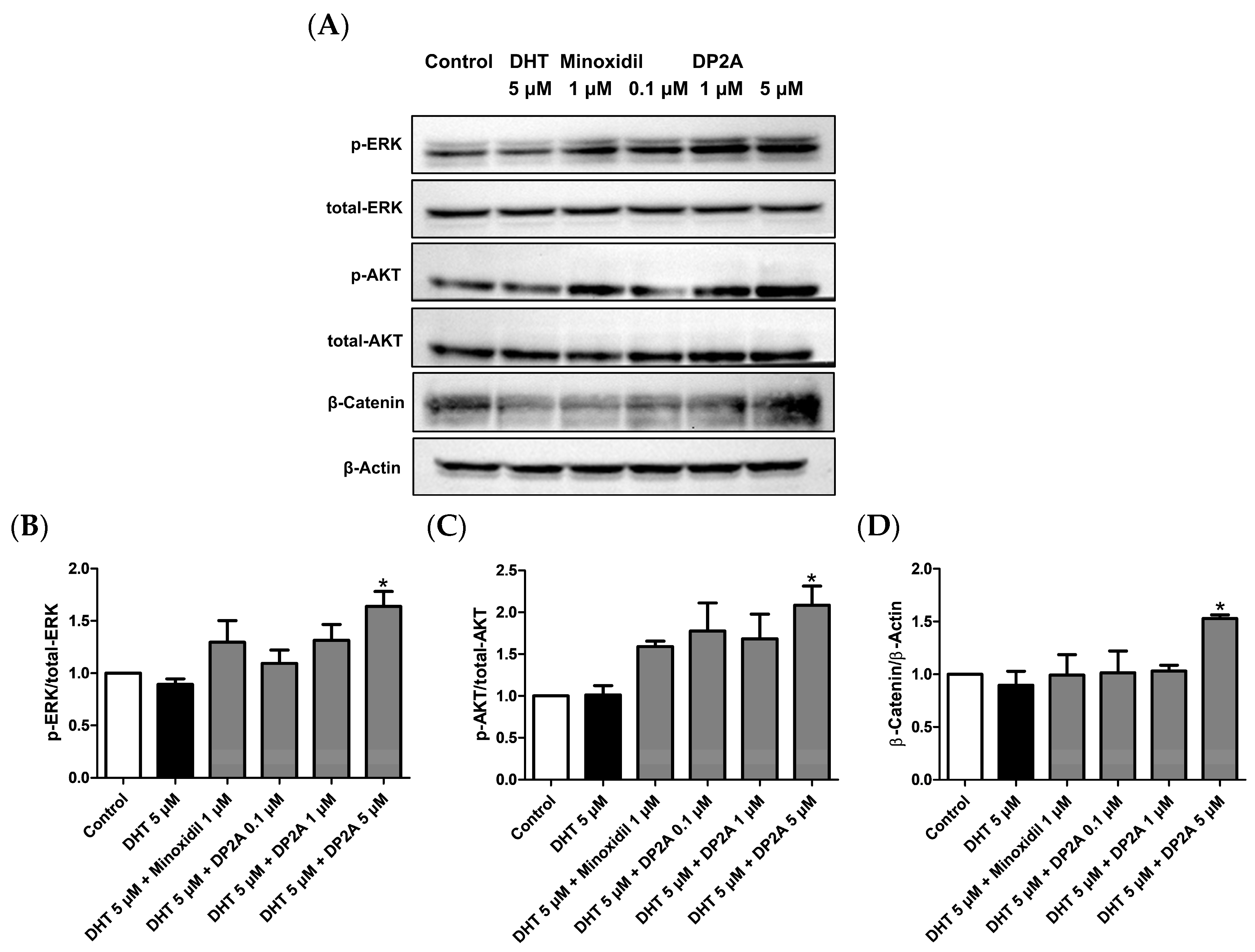 Cosmetics 11 00177 g006