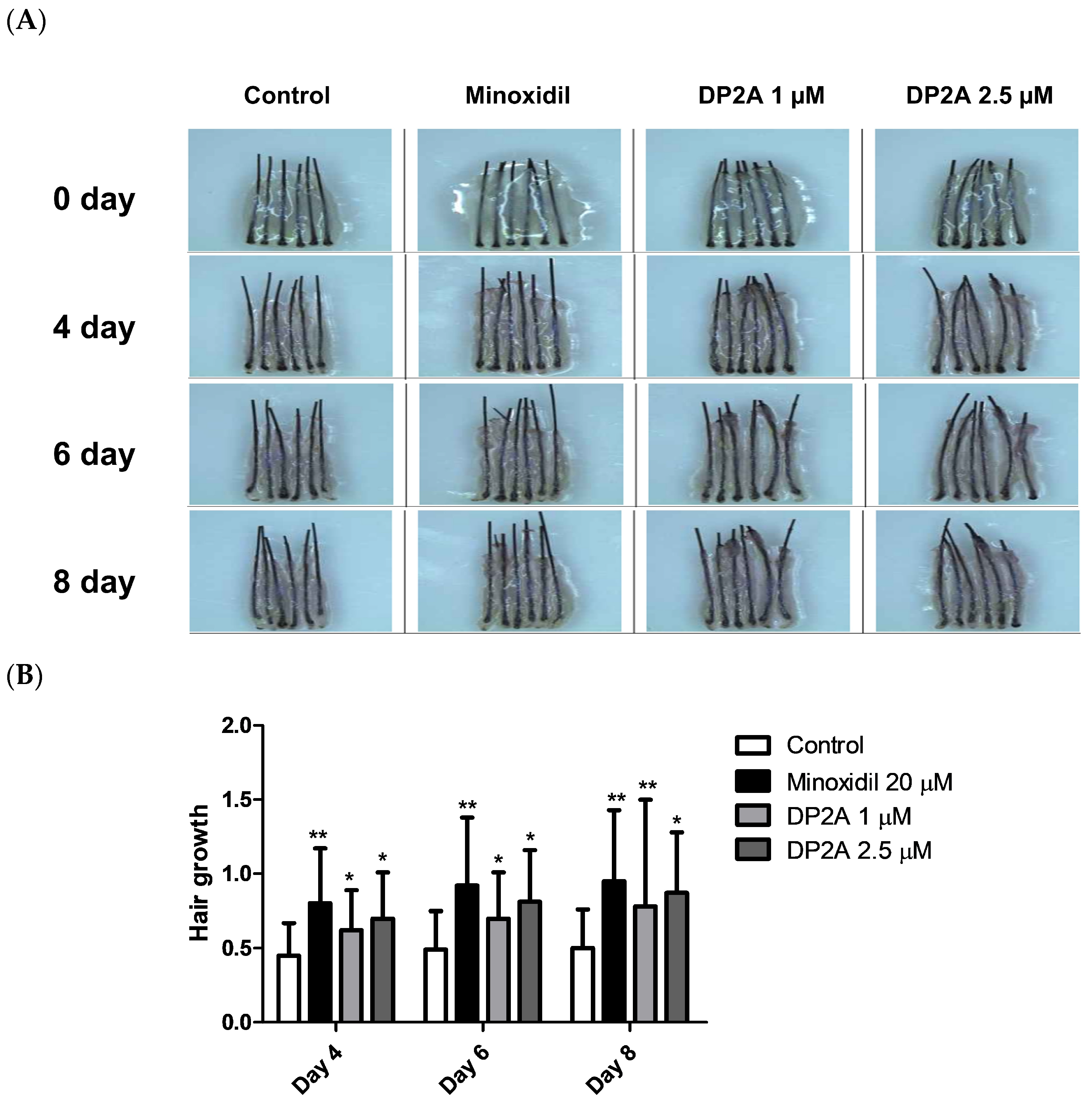 Cosmetics 11 00177 g008