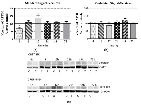 クラシック　12 Amazon.com: Snarling Dogs Brain TNSDB351, 0.73 Guitar Picks, 12