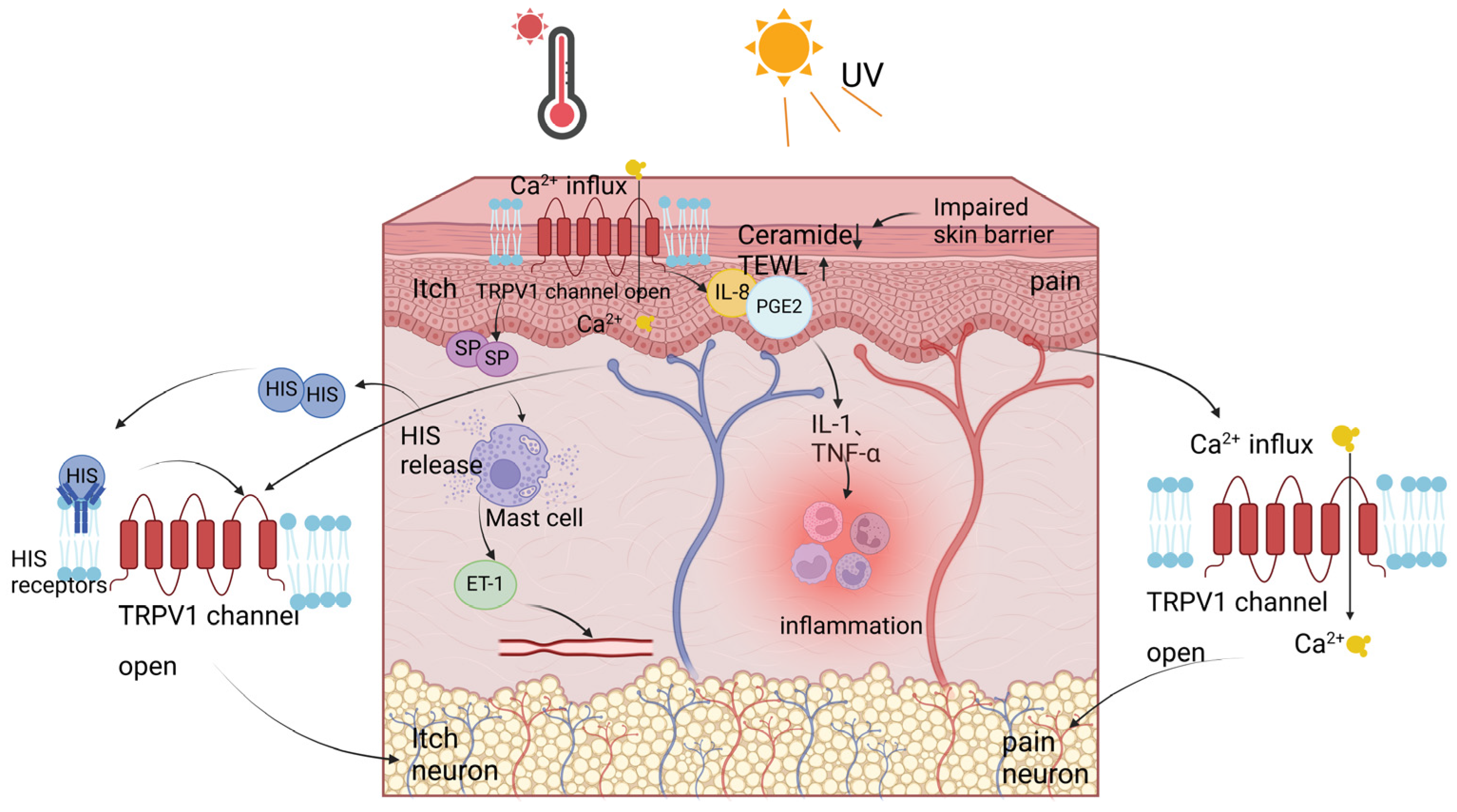 Cosmetics 11 00190 g004 Cosmetics 11 00190 g004