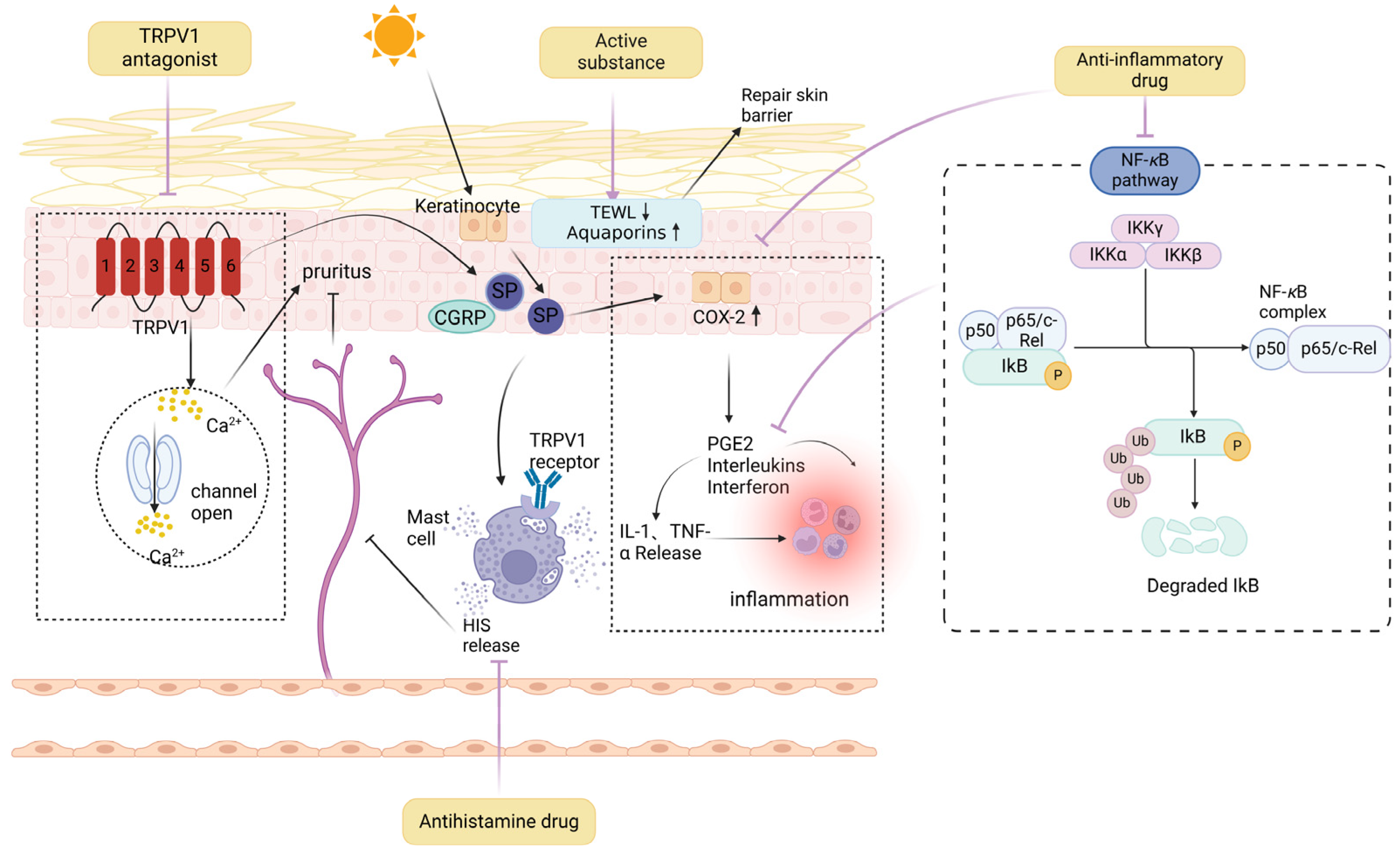 Cosmetics 11 00190 g005 Cosmetics 11 00190 g005