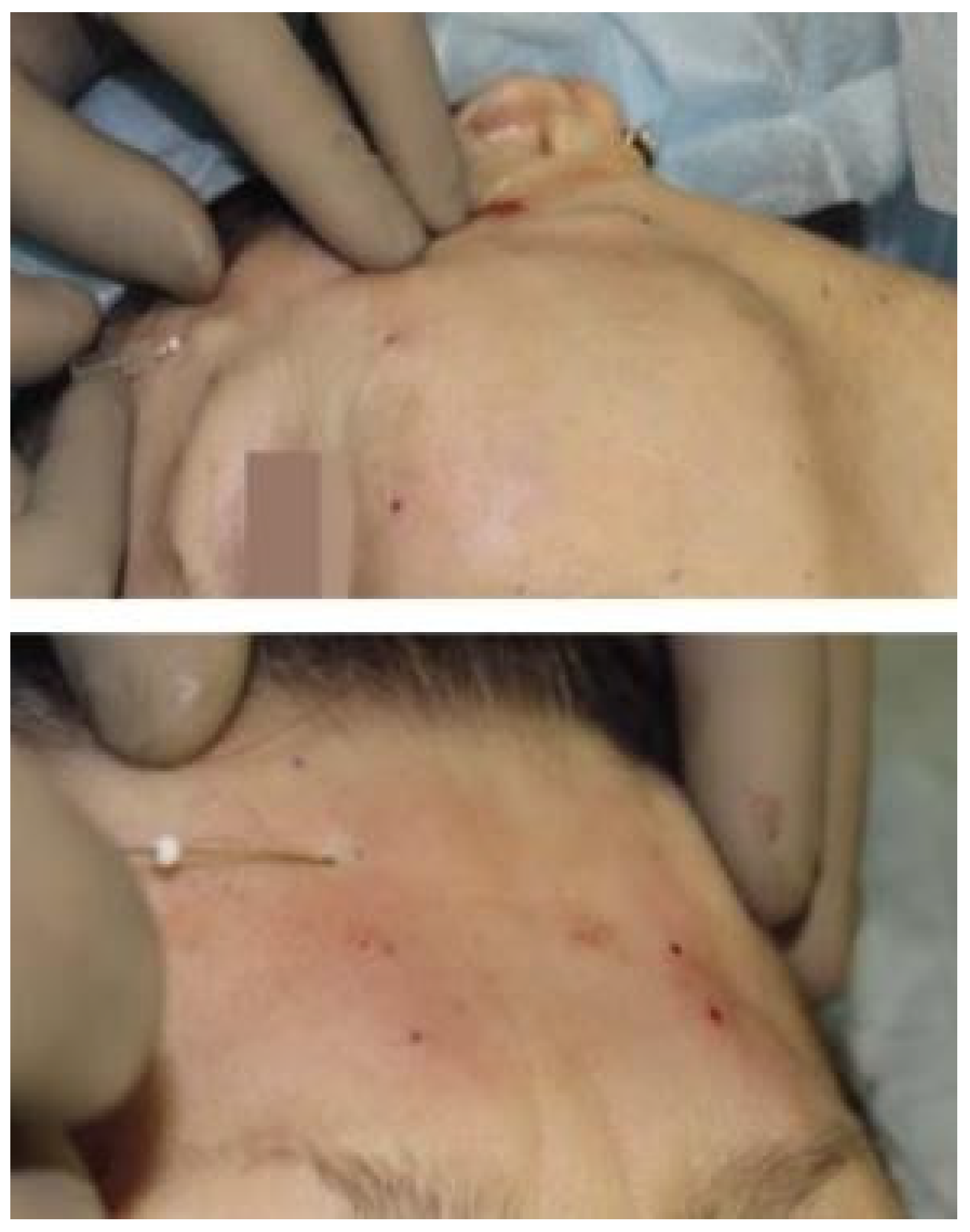 Cosmetics 11 00192 g004