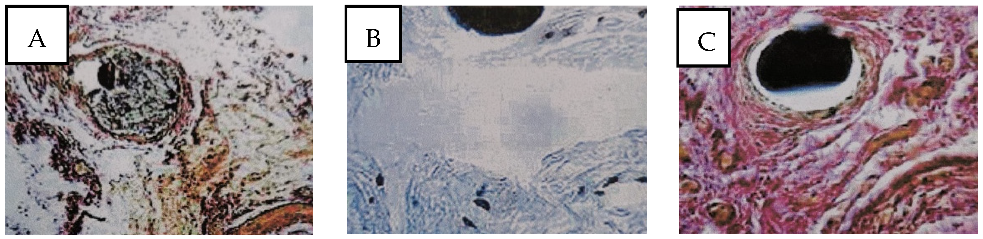 Cosmetics 11 00192 g009