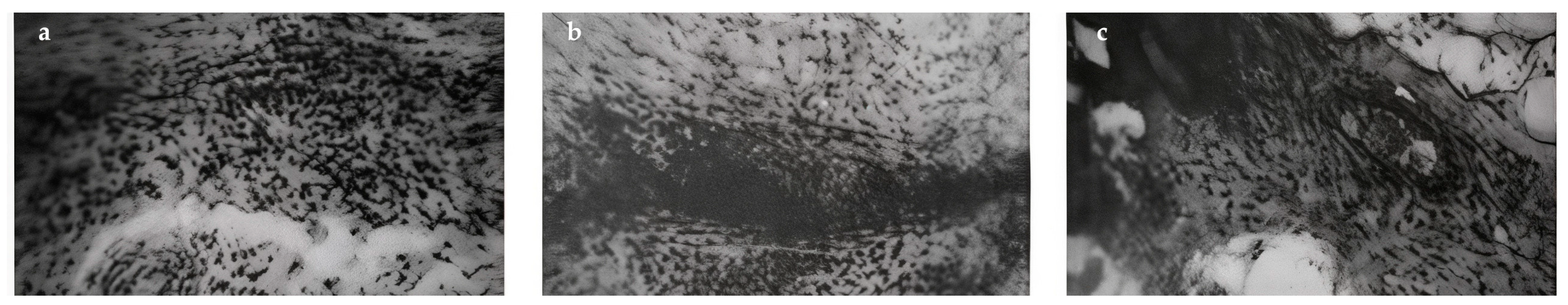 Cosmetics 11 00192 g010