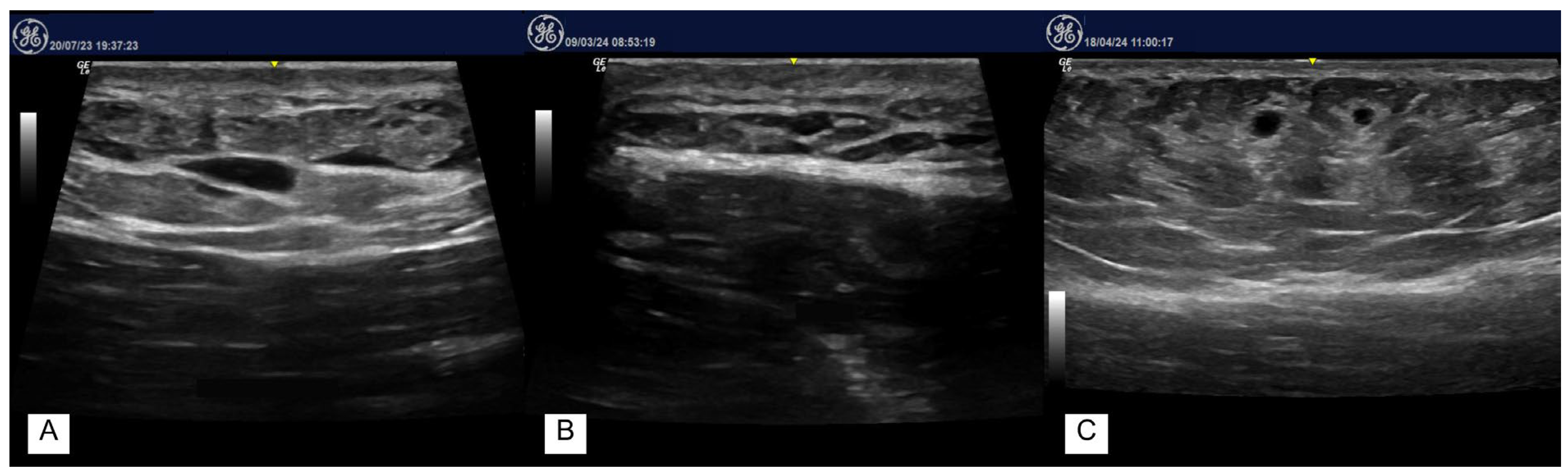 Cosmetics 11 00194 g002